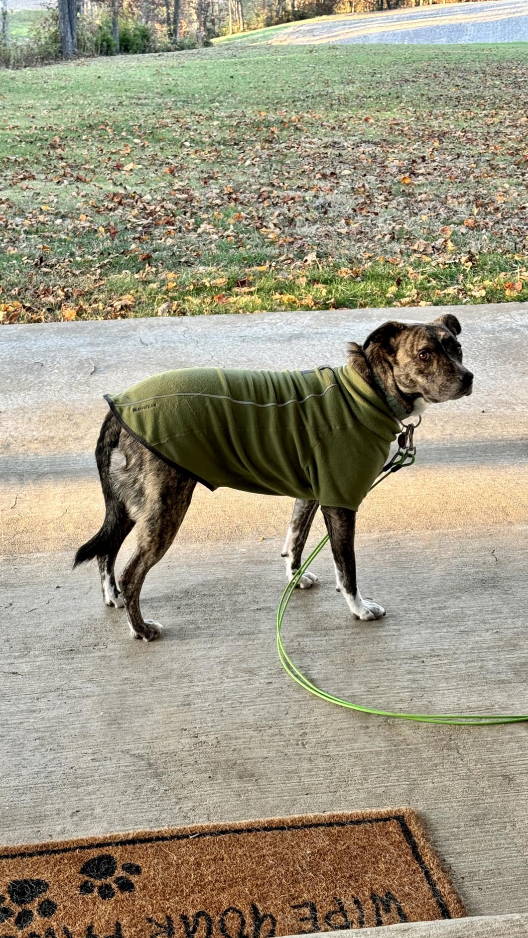 Climate Changer Fleece Dog Jacket, Sleeved Silhouette for Core Heat, Quick-Dry Fleece, Full-Length Zip, Reflective Trim, Galaxy, Medium customer photo 1