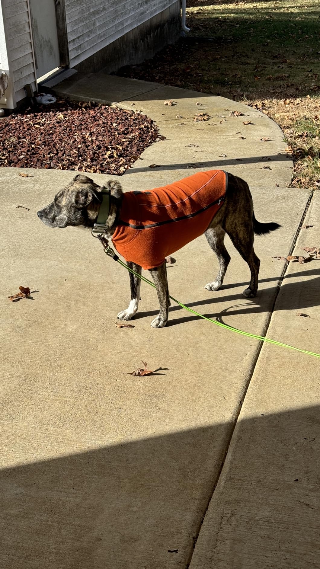 Climate Changer Fleece Dog Jacket, Sleeved Silhouette for Core Heat, Quick-Dry Fleece, Full-Length Zip, Reflective Trim, Galaxy, Medium customer photo 2