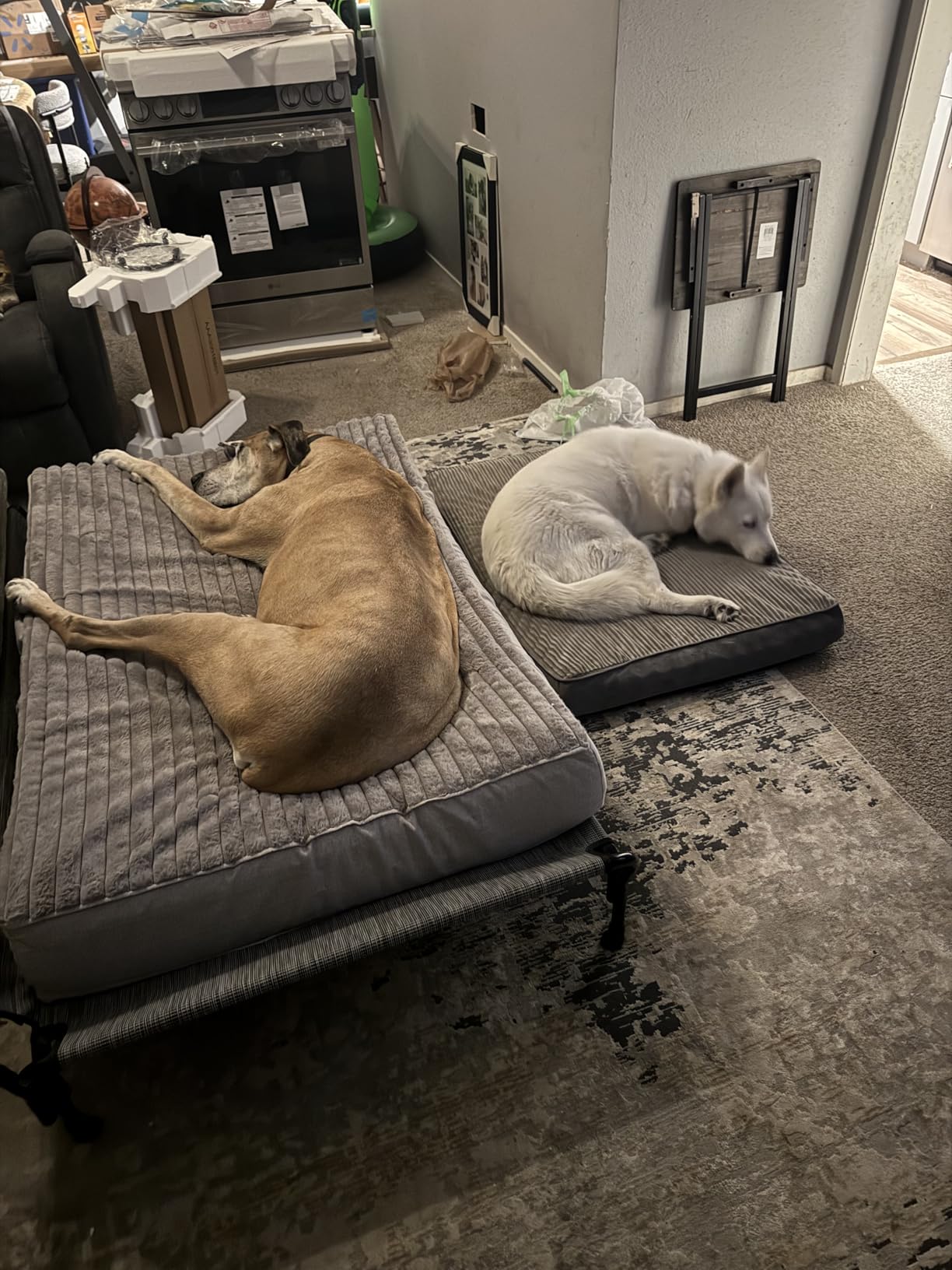 Veehoo Cooling Elevated Dog Bed, Raised Pet Cot with Guardrail & Slope Headrest, Durable & Breathable Teslin Mesh, Non-Slip Feet, Washable Dog Sofa Bed for Indoor & Outdoor, Large 47