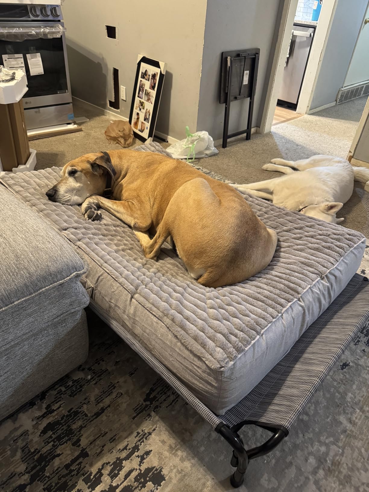 Veehoo Cooling Elevated Dog Bed, Raised Pet Cot with Guardrail & Slope Headrest, Durable & Breathable Teslin Mesh, Non-Slip Feet, Washable Dog Sofa Bed for Indoor & Outdoor, Large 47