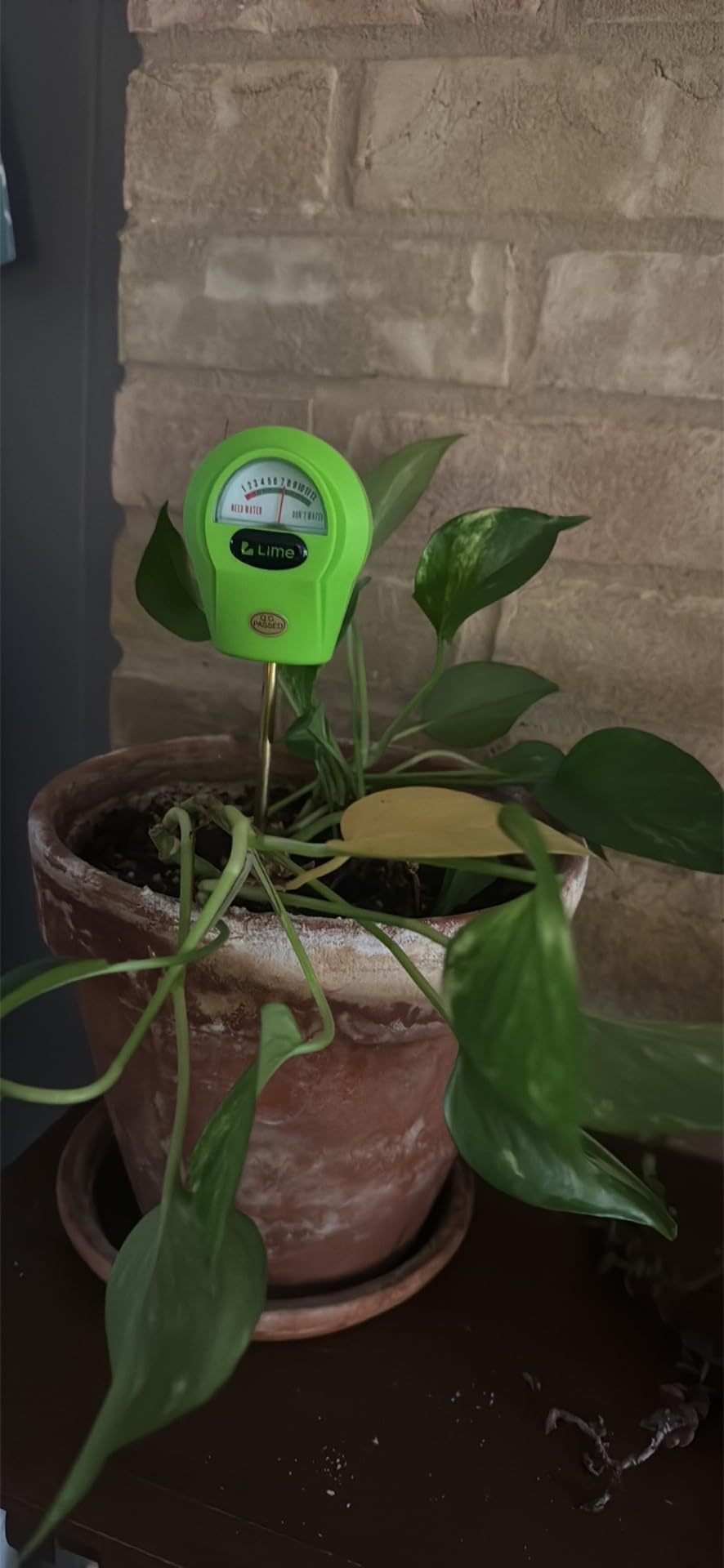 GROWIT Plant Moisture Meter - Accurately Tells You When to Water Your Plants - 26cm, No Battery Needed customer photo 1