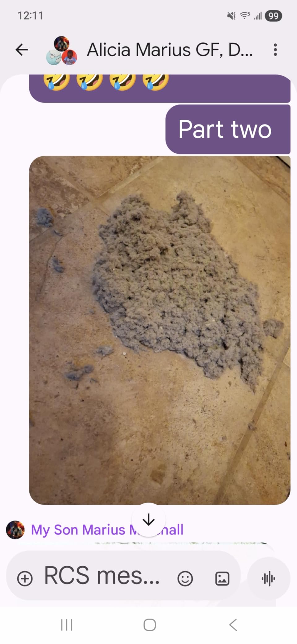 Sealegend 15 Feet Dryer Vent Cleaner Kit/Lint Remover/Upgraded Flexible Quick-Snap Brush with Drill Attachment/Fireplace Chimney Brushes for Easy to Clean/Cleaning Tool Use with or Without Power Drill customer photo 2