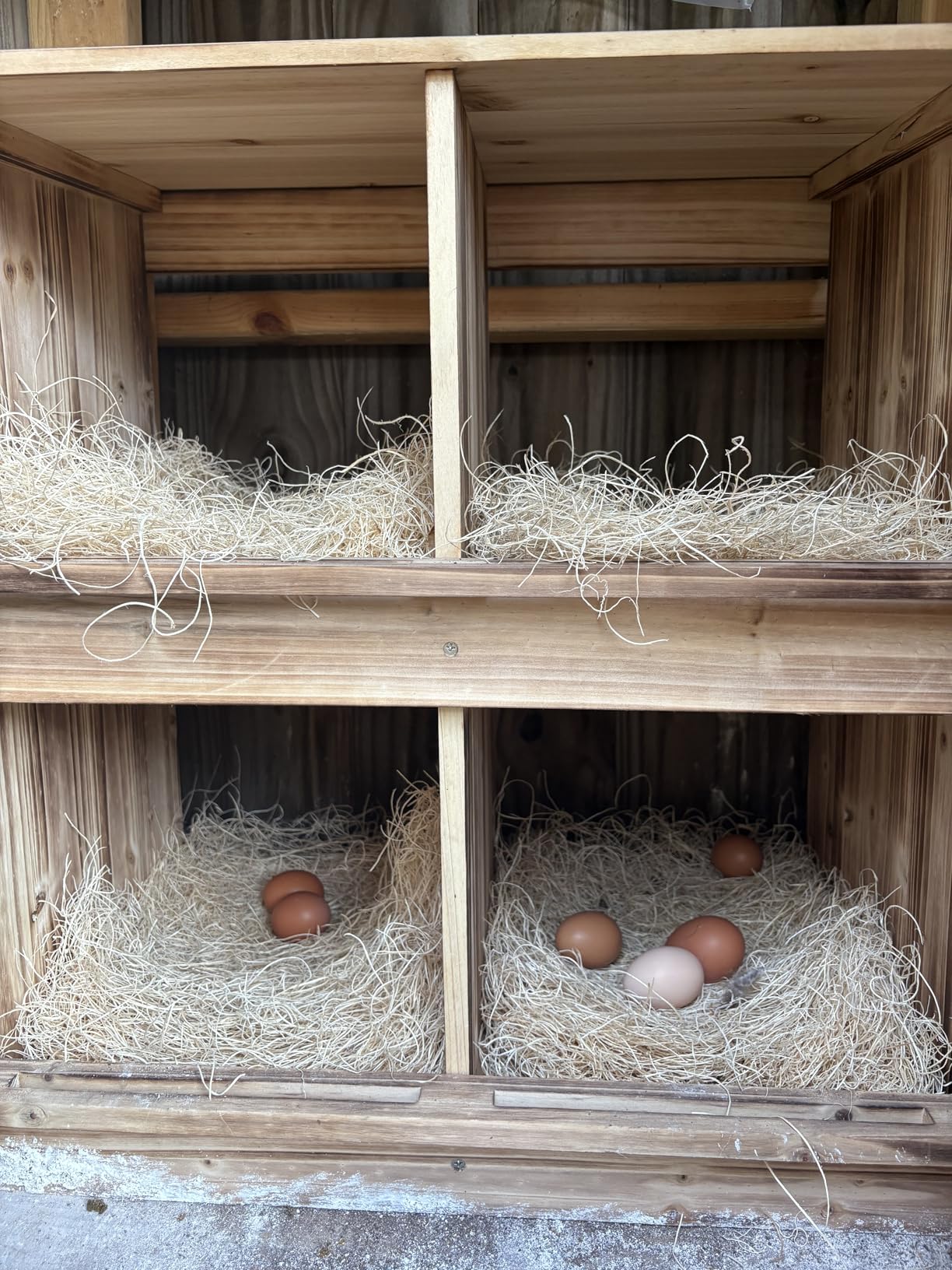 Nesting Boxes for Chickens - Wooden Chicken Nesting Box for Poultry Heavy Duty 4 Compartments Laying Eggs Nest Box Wall Mount for Chickens, Hens, Ducks customer photo 2
