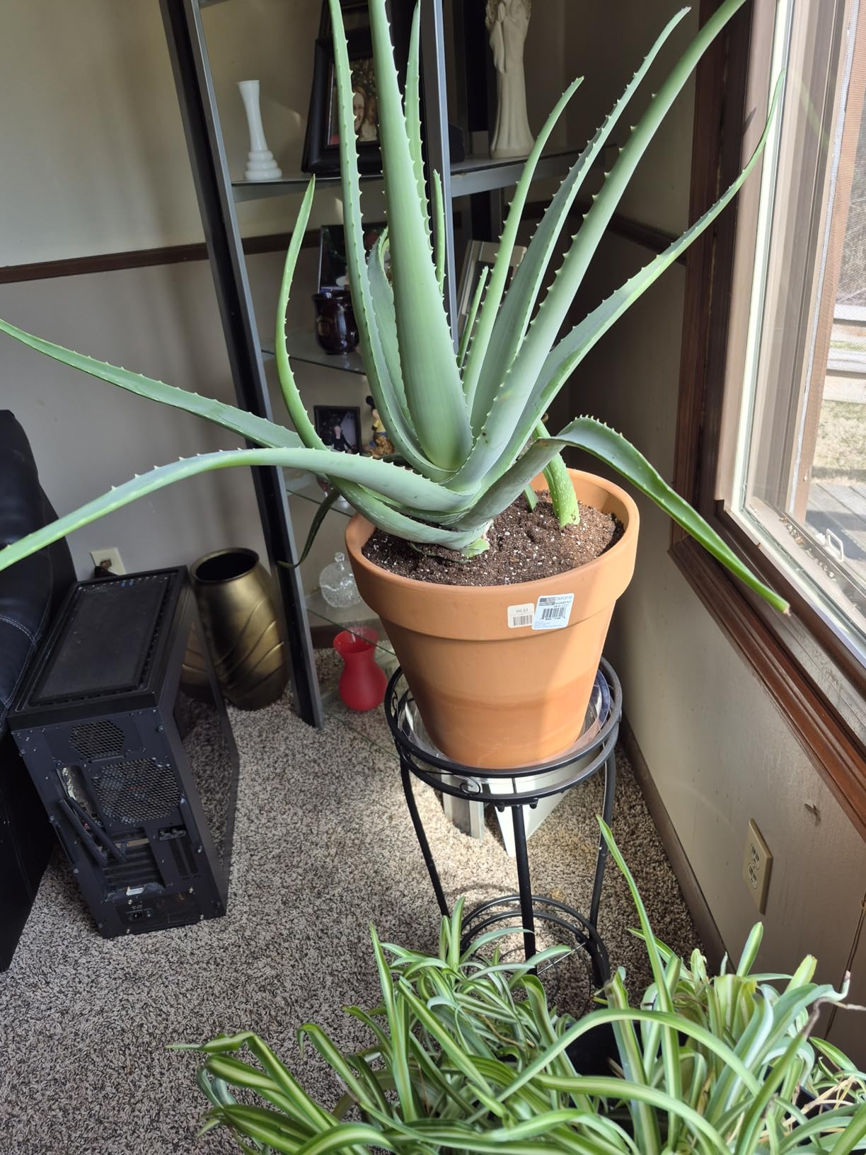Plant Stand Indoor Outdoor 2 Tier 27