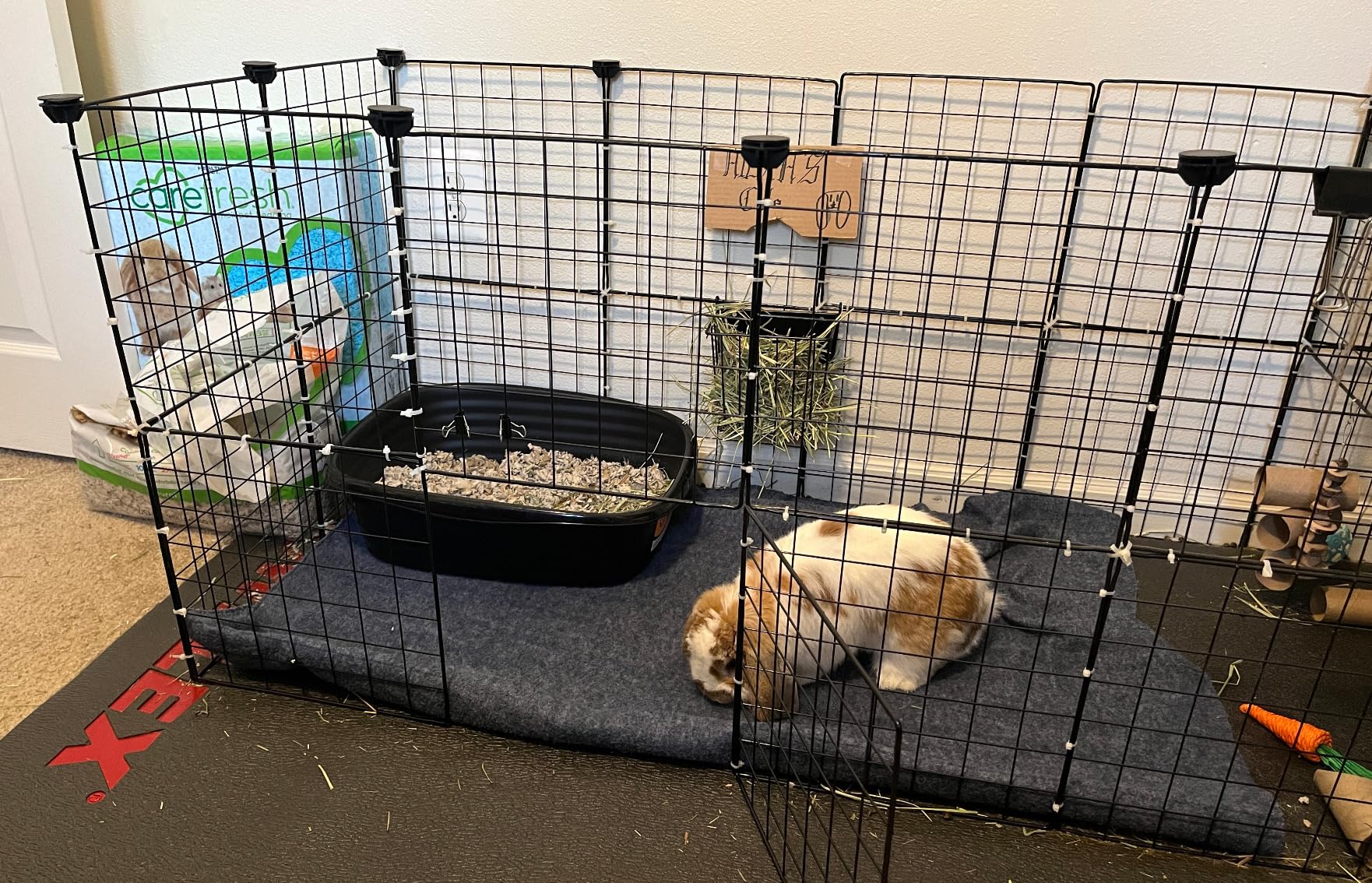 LUAVIARU Upgrades Rabbit Hay Feeder - Guinea Pig Hay Feeder - Metal Frame Hay Rack with Adjustable Hook - Less Wasted - for Guinea Pigs - Chinchilla Bunny Cage Accessories - Bunny Feeder customer photo 2