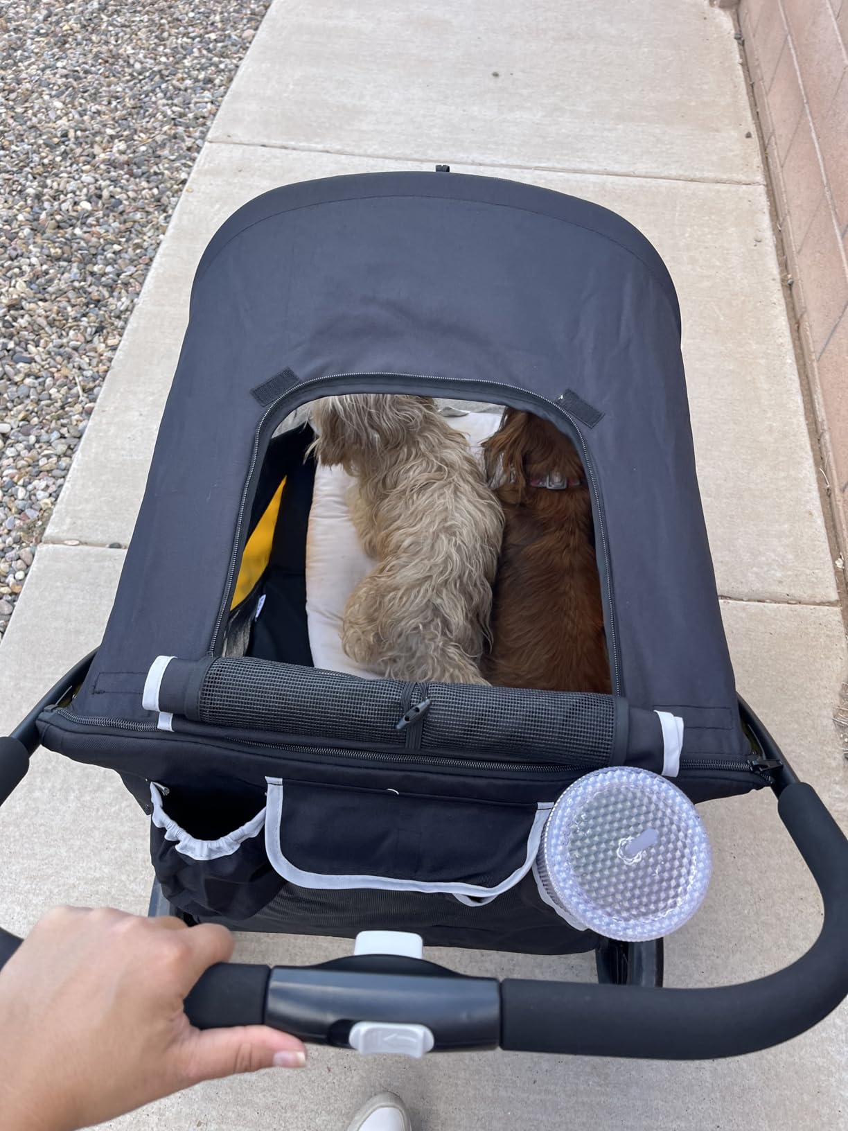 Petbobi Dog Stroller for Large & Medium Dogs - Easy Fold Dual Entry Pet Stroller with One-Foot Brake, All Terrain Wagon Cart with Air Mesh, Ideal for Large Senior Pets up to 80 lbs customer photo 1
