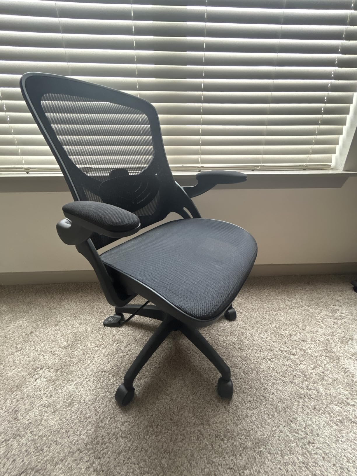 ELABEST Ergonomic Mesh Office Chair Computer Desk Chair, BIFMA 5.1 Certified Commercial Task Chair | Adjustable Lumbar Support & Armrests,Comfort Wide Seat,Swivel Home Office Chair(Black) customer photo 2