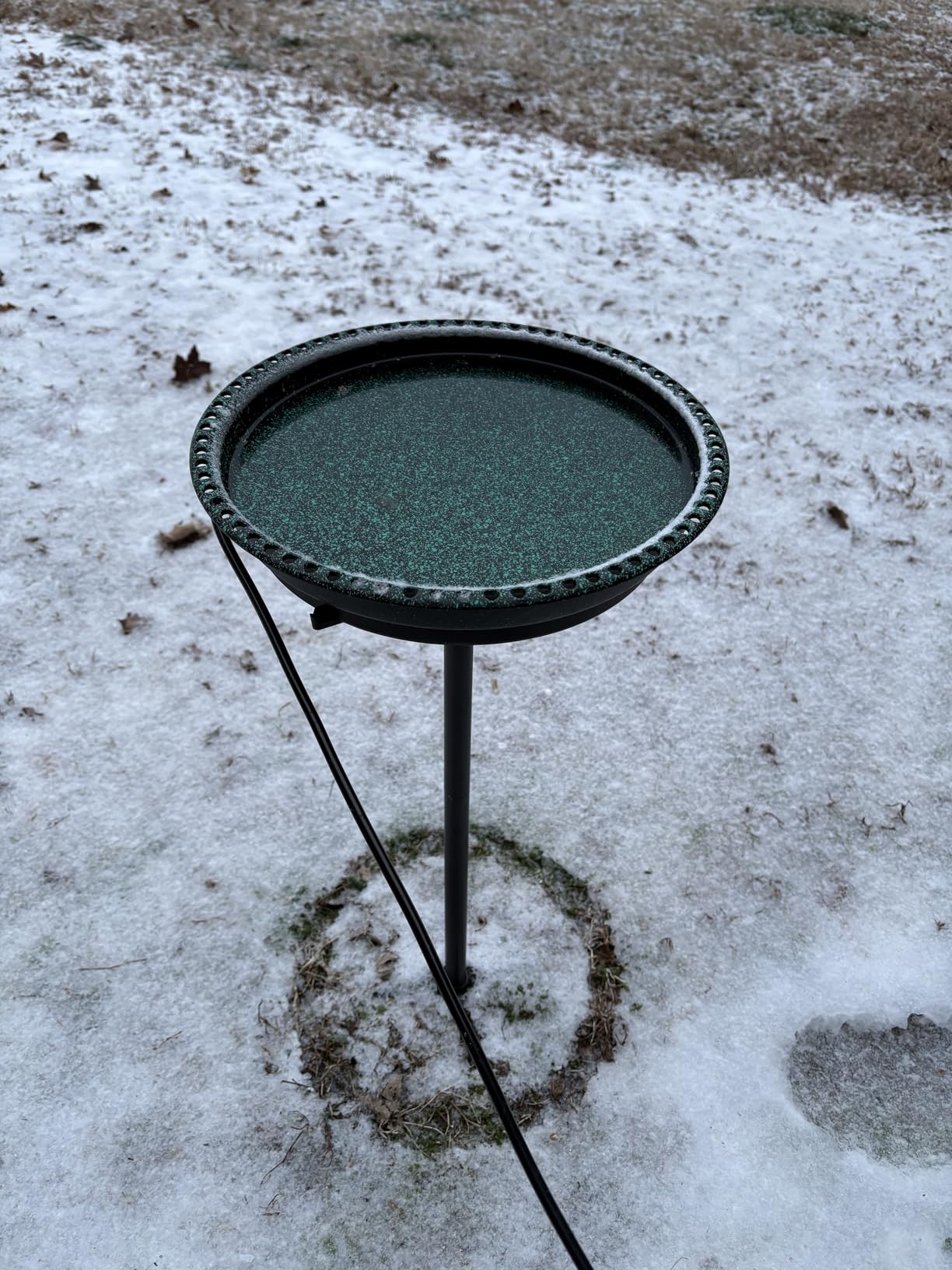 BIRD WISH Heated Bird Bath, Stable 5-Prong Metal Base Thermostat Control Weather Resistance 75W Heated Bird Baths for Outdoors customer photo 1