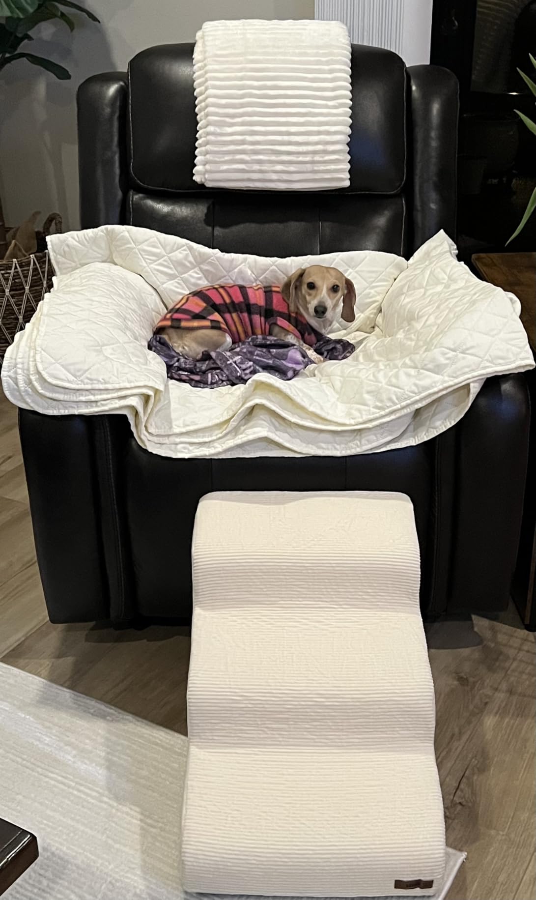 Lesure Dog Stairs for Small Dogs Pet Steps Ramp for High Bed and Couch with CertiPUR-US Certified Foam with Non-Slip Bottom, Beige, 4 Steps customer photo 2