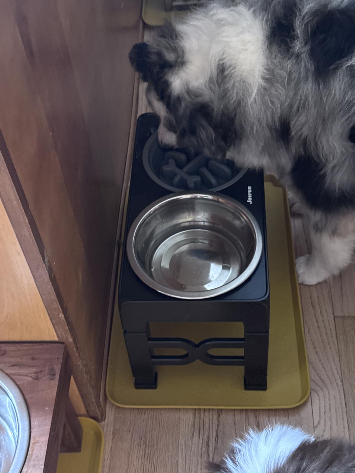 Jovrun Elevated Dog Bowls for Medium Large Size Dogs, Non-Slip Dog Feeder with 1 Stainless Steel Dishes and 1 Slow Feeder Bowl, 5 Heights Adjustable Raised Bowls customer photo 1