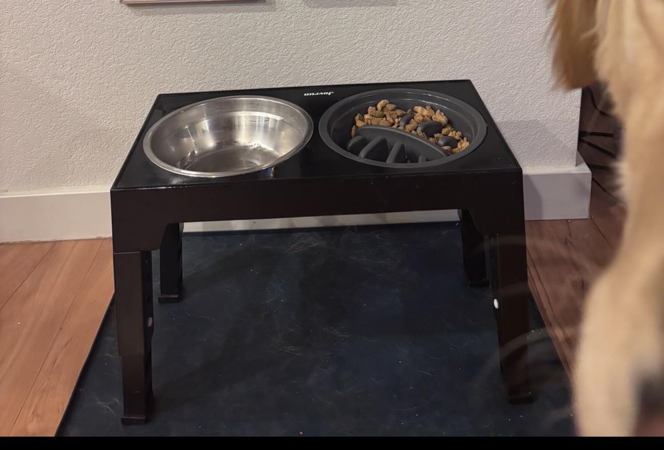 Jovrun Elevated Dog Bowls for Medium Large Size Dogs, Non-Slip Dog Feeder with 1 Stainless Steel Dishes and 1 Slow Feeder Bowl, 5 Heights Adjustable Raised Bowls customer photo 2