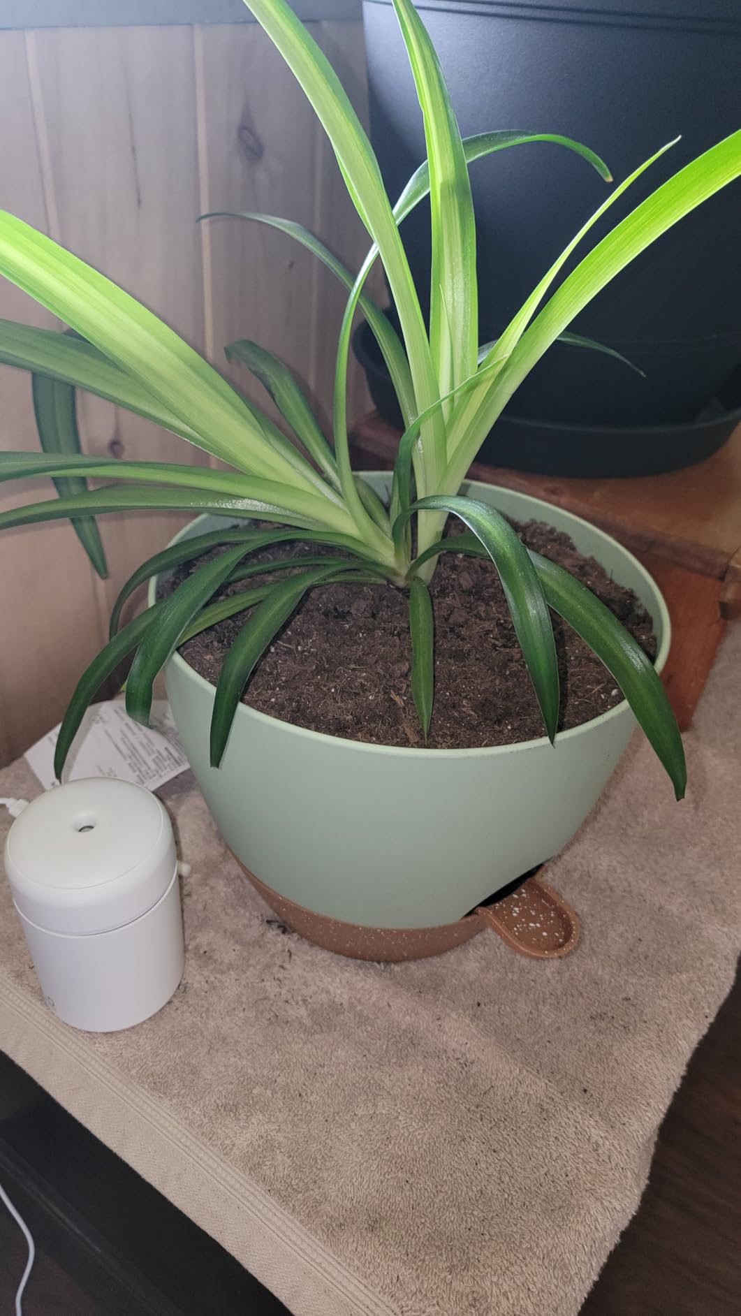 Plant Pots 12/10/9 inch Set of 3, Self Watering Flower Pots Indoor Outdoor, Planters with Drainage Hole Saucer Reservoir, White customer photo 2