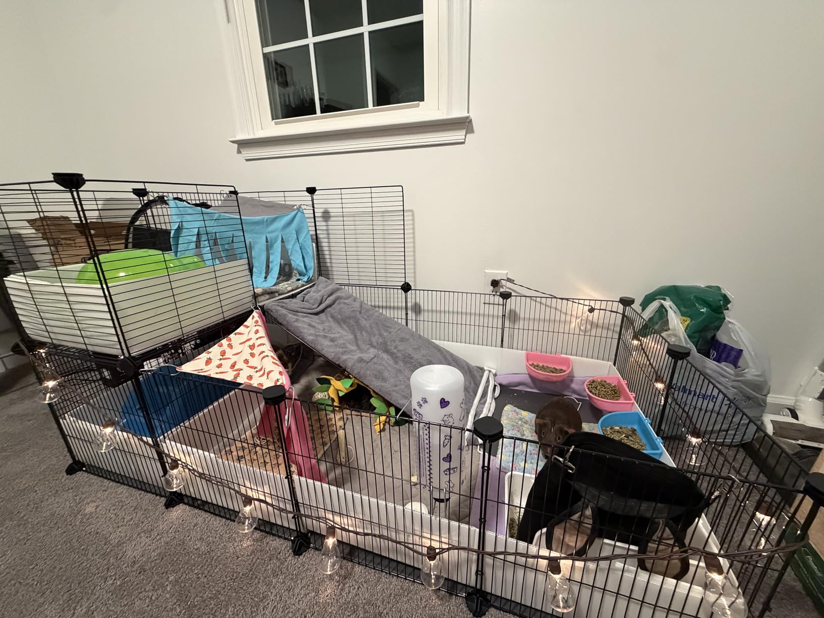Oneluck Guinea Pig Cage, Indoor Habitat with Waterproof Plastic Bottom,Playpen for Small Pet Bunny, Turtle, Hamster, Loft cage customer photo 1