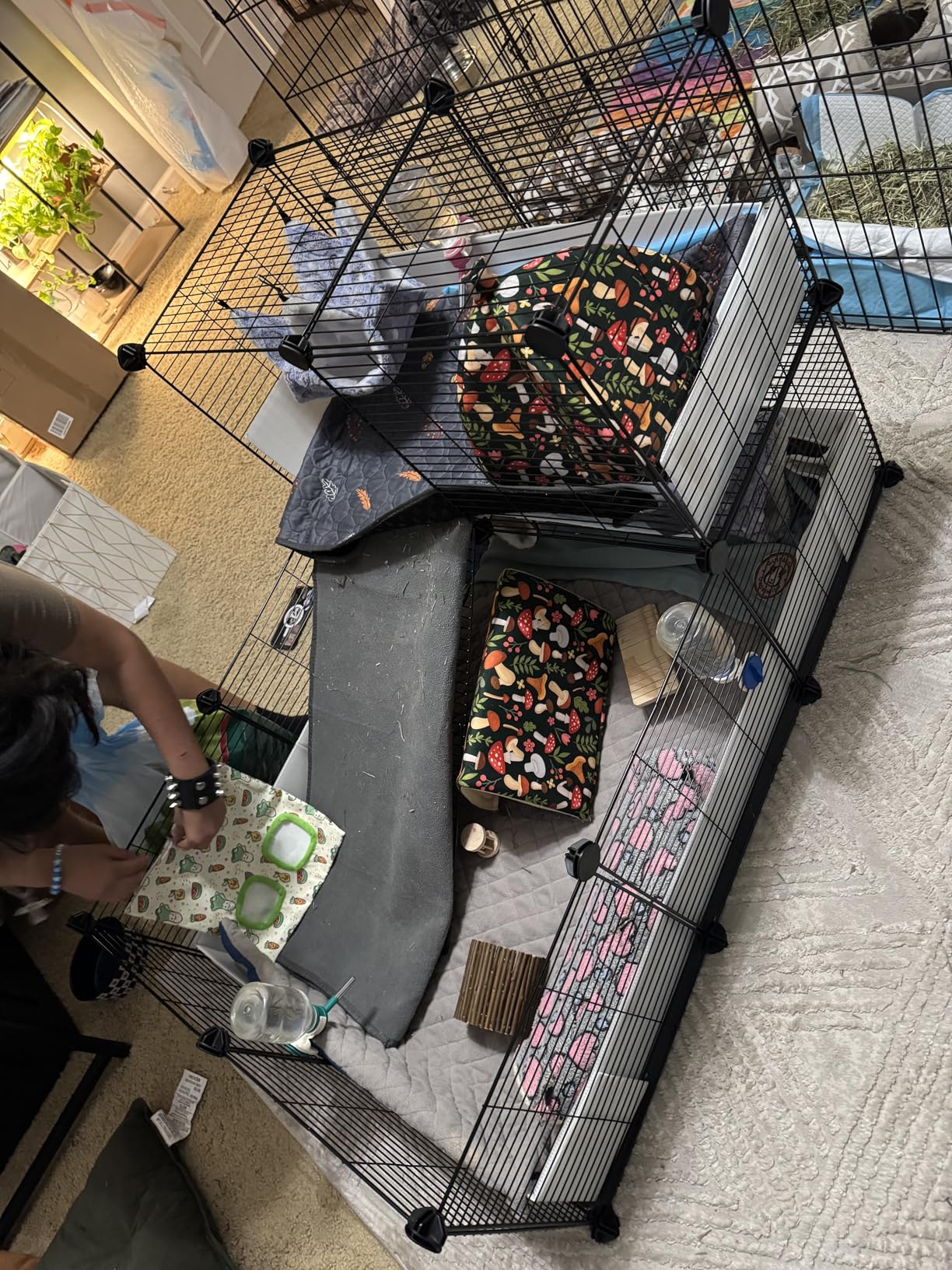 Oneluck Guinea Pig Cage, Indoor Habitat with Waterproof Plastic Bottom,Playpen for Small Pet Bunny, Turtle, Hamster, Loft cage customer photo 2