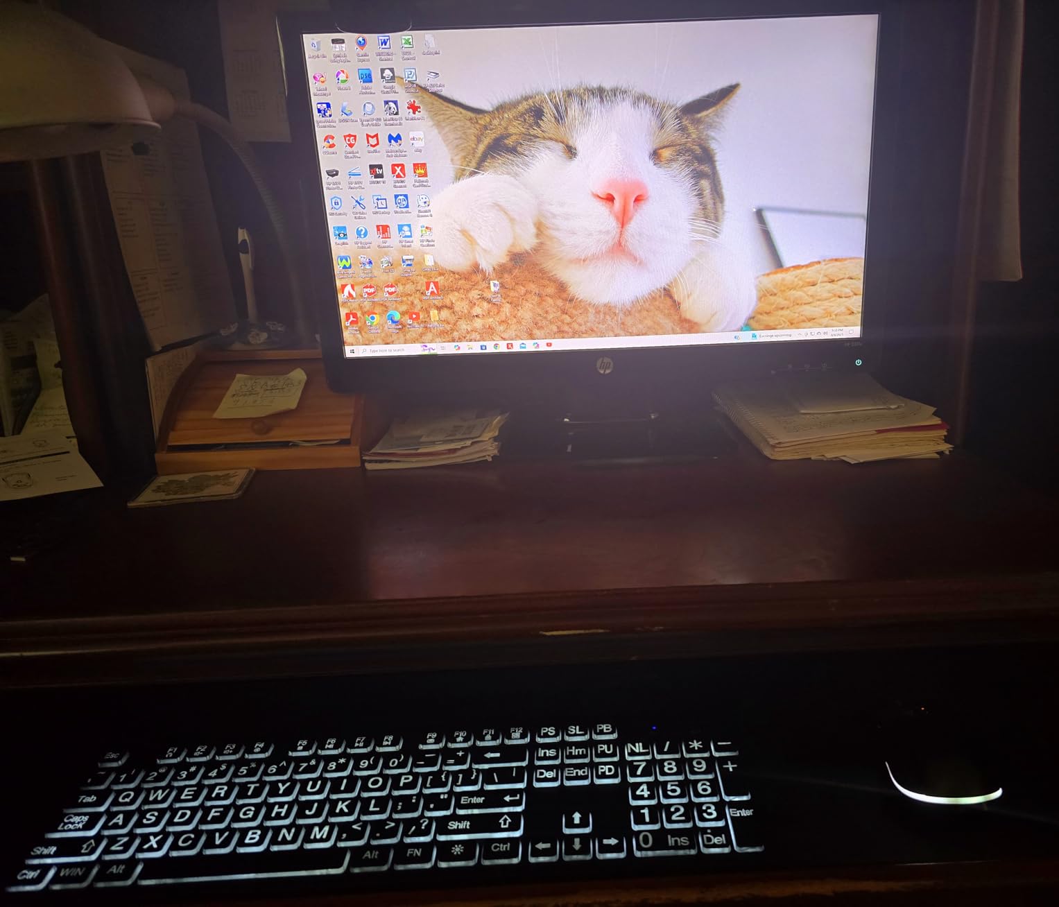 Wireless Keyboard and Mouse - Large Print Wireless Keyboard, KOPJIPPOM 2.4G Full Size Keyboard and Mouse Set with Big Letters and Backlight Key for Seniors, Compatible for Windows, Laptop, PC, Black customer photo 2