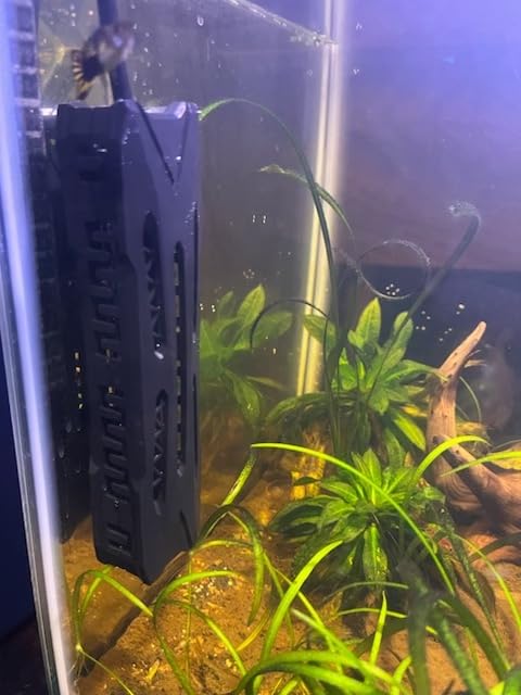 AQQA Small Aquarium Heater,Submersible Fish Tank Heater Adjustable Temperature,Mini Short Dual-use Fish Heater with LED Digital Display Thermostat,Saltwater Freshwater 250W customer photo 1