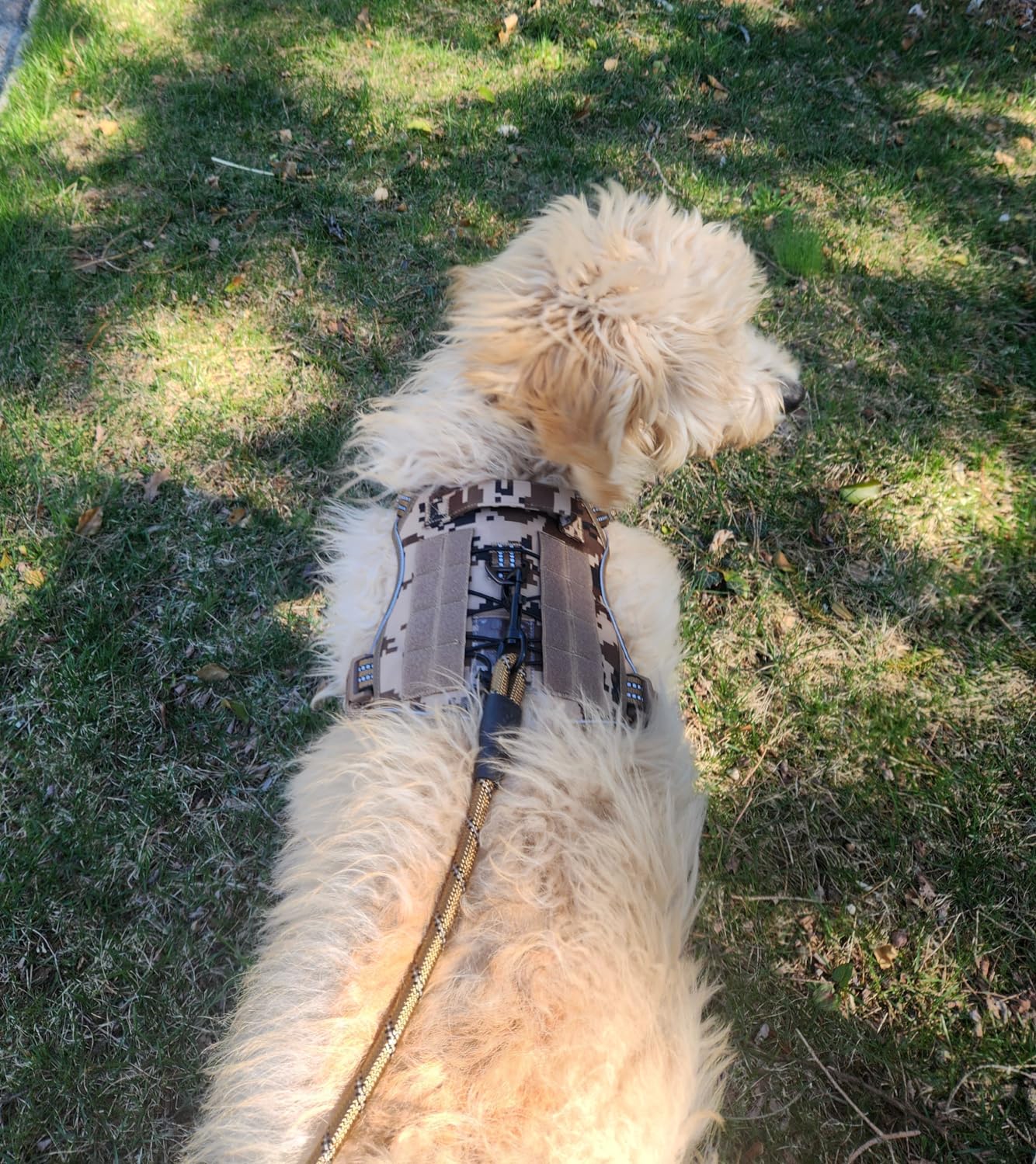 Beebiepet Heavy Duty Tactical Dog Harness for Large Dogs, No Pull Adjustable Pet Harness Reflective Service Training Easy Control Pet Vest Military K9 Working Dog Harnesses - Large, Brown customer photo 1