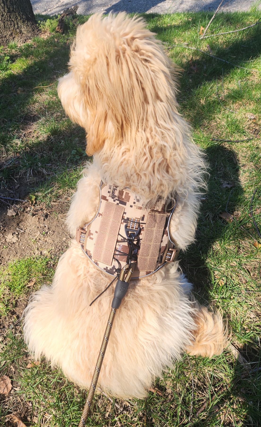 Beebiepet Heavy Duty Tactical Dog Harness for Large Dogs, No Pull Adjustable Pet Harness Reflective Service Training Easy Control Pet Vest Military K9 Working Dog Harnesses - Large, Brown customer photo 2