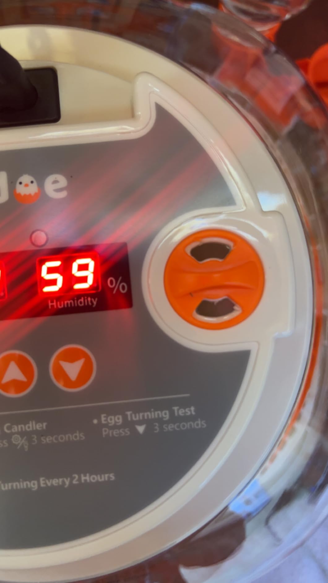 Egg Incubators for Hatching Eggs, Temperature and Humidity Control, Automatic Egg Turning, Egg Candler, External Water Bottle, Air Vent, for Chicken, Duck & Quail Eggs, 12 Eggs customer photo 1