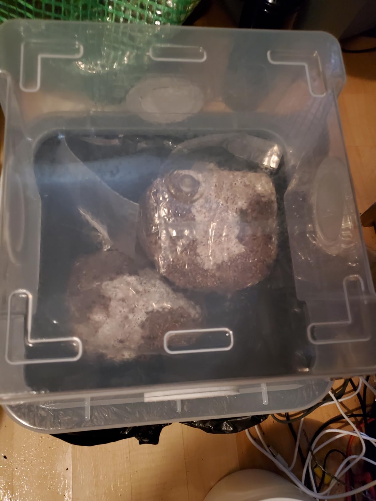 Grower's Select 28Q Cube Mushroom Monotub Fruiting Chamber with Filter Disks and Liner customer photo 2
