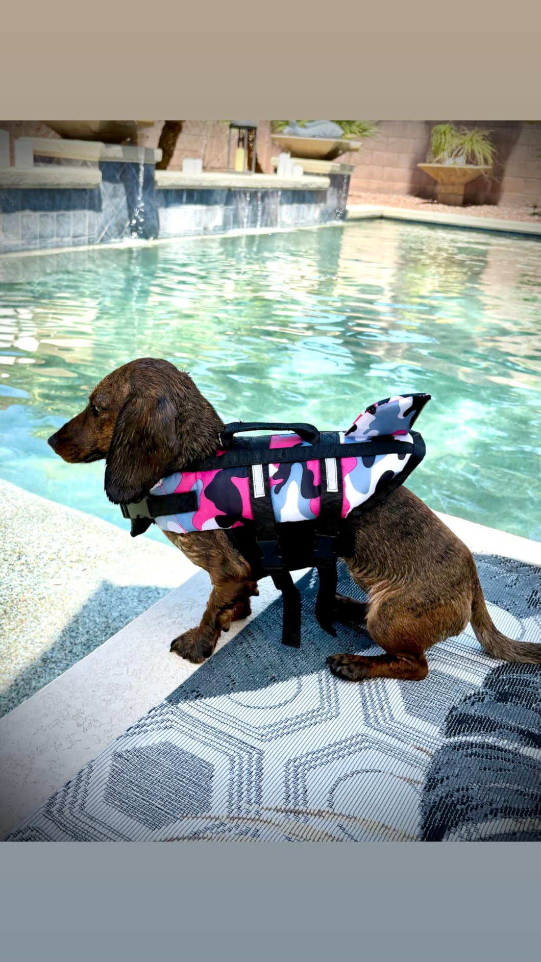 Queenmore Small Dog Life Jacket,Shark Dog Life Vest for Swimming,Puppy Light Life Preserver for Boating kayaking Canoeing,Pet Reflective Lifesaver with High Buoyancy,Rescue Handle,Leash Hook (Pink,XS) customer photo 2