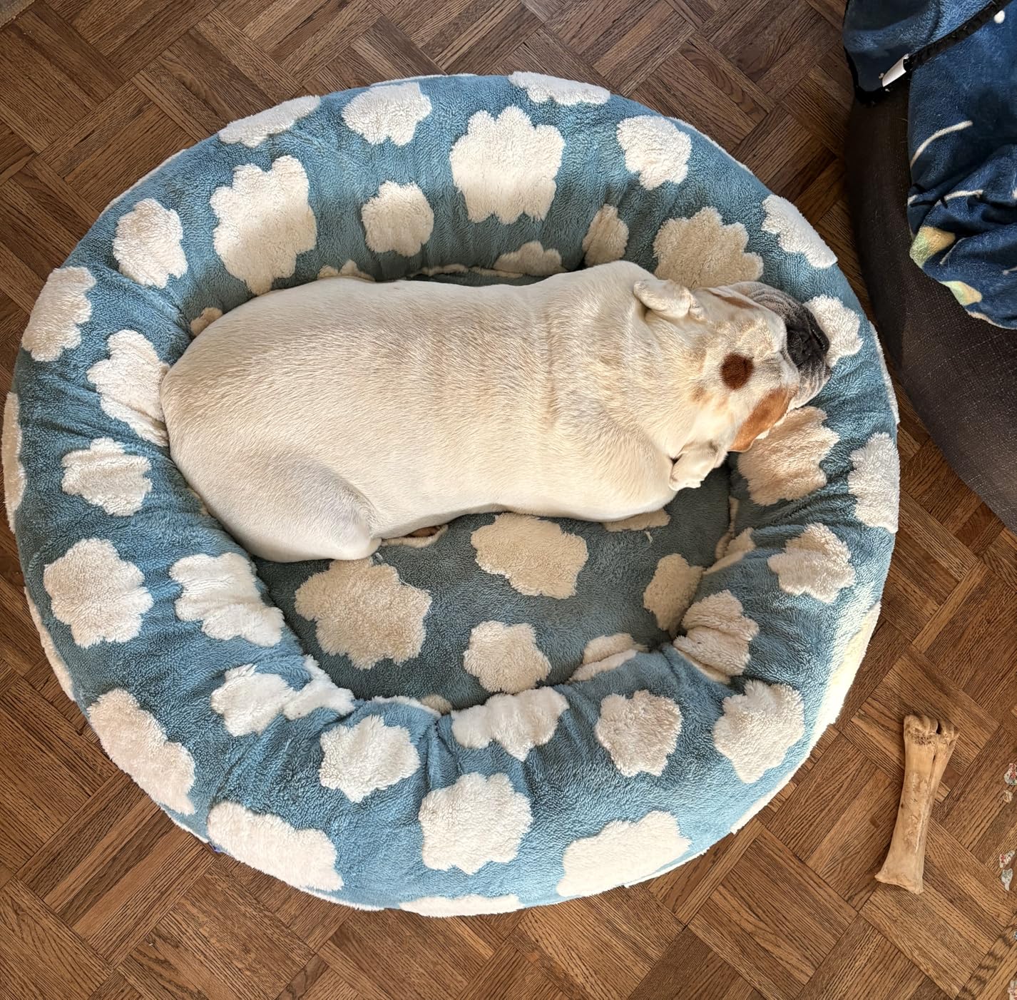 LE SURE Shown on TV Donut Large Dog Bed - XL Round Cat Beds Indoor Anti-Anxiety Calming Bed Present for Pets, Washable Cute Bed with Jacquard Shaggy Plush & Anti Slip Bottom, 36 Inch, Purple customer photo 1