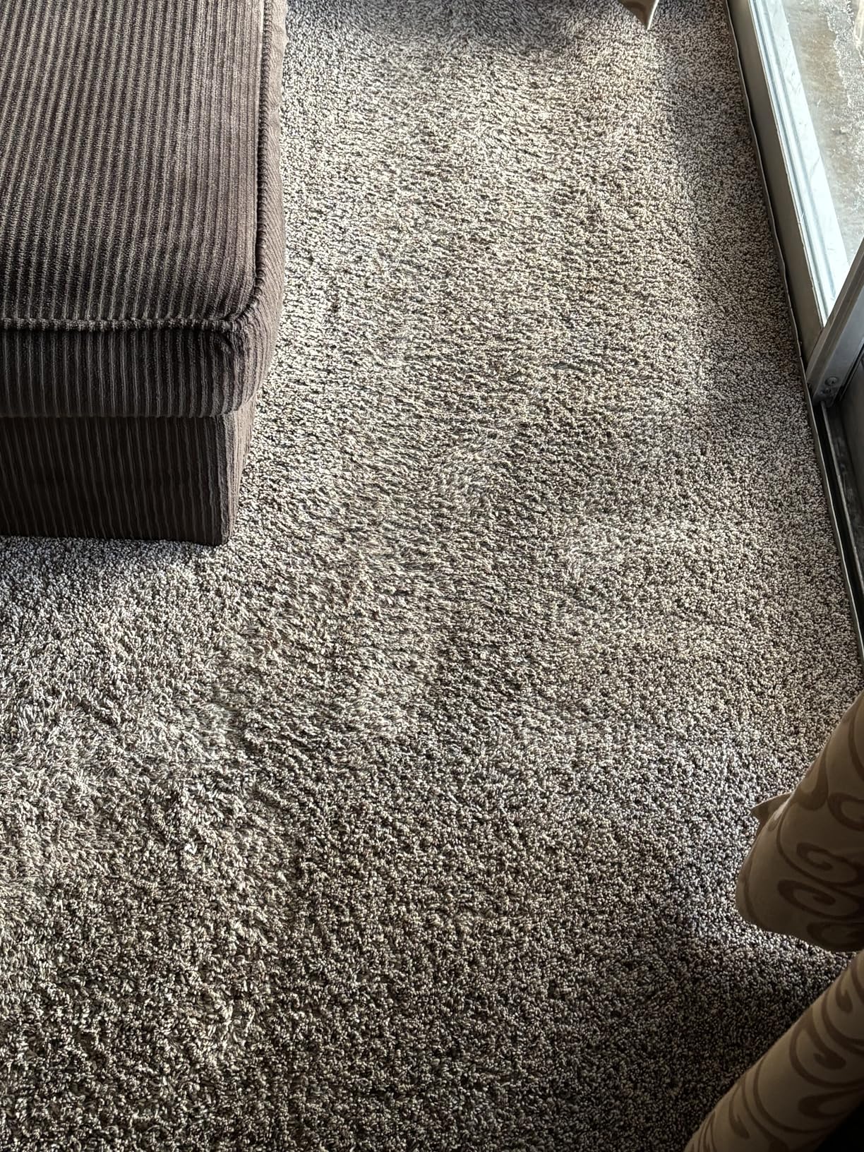 BISSELL Little Green Max Pet Portable Carpet and Upholstery Deep Cleaner, Car/Auto Detailer, with Self-Cleaning Tough Stain Tool and Pet Hair Removal Tool, 3860 customer photo 2