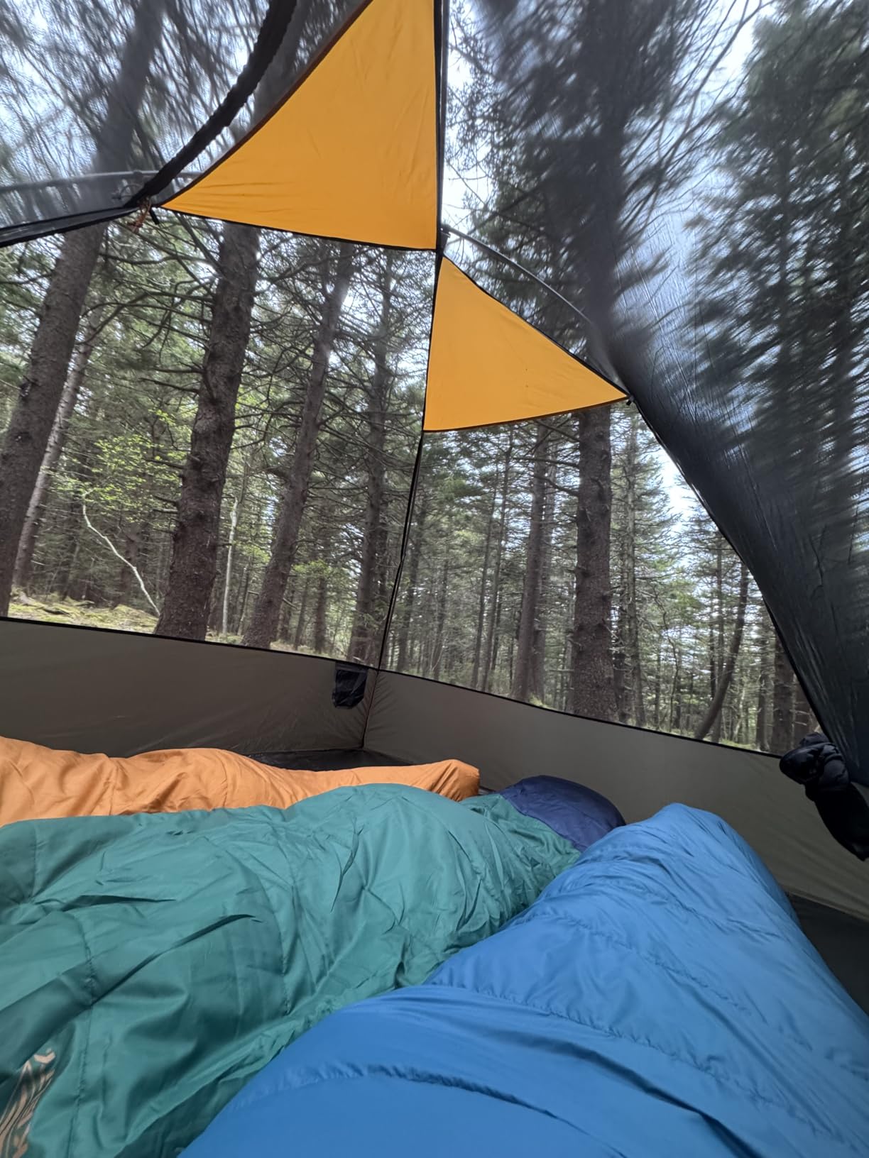 Kelty Cosmic 20 Down Mummy Sleeping Bag for Backpacking, Campers, 550 Fill Power, Recycled Fabrics with PFAS-Free DWR, Designed in Sunny Colorado customer photo 2