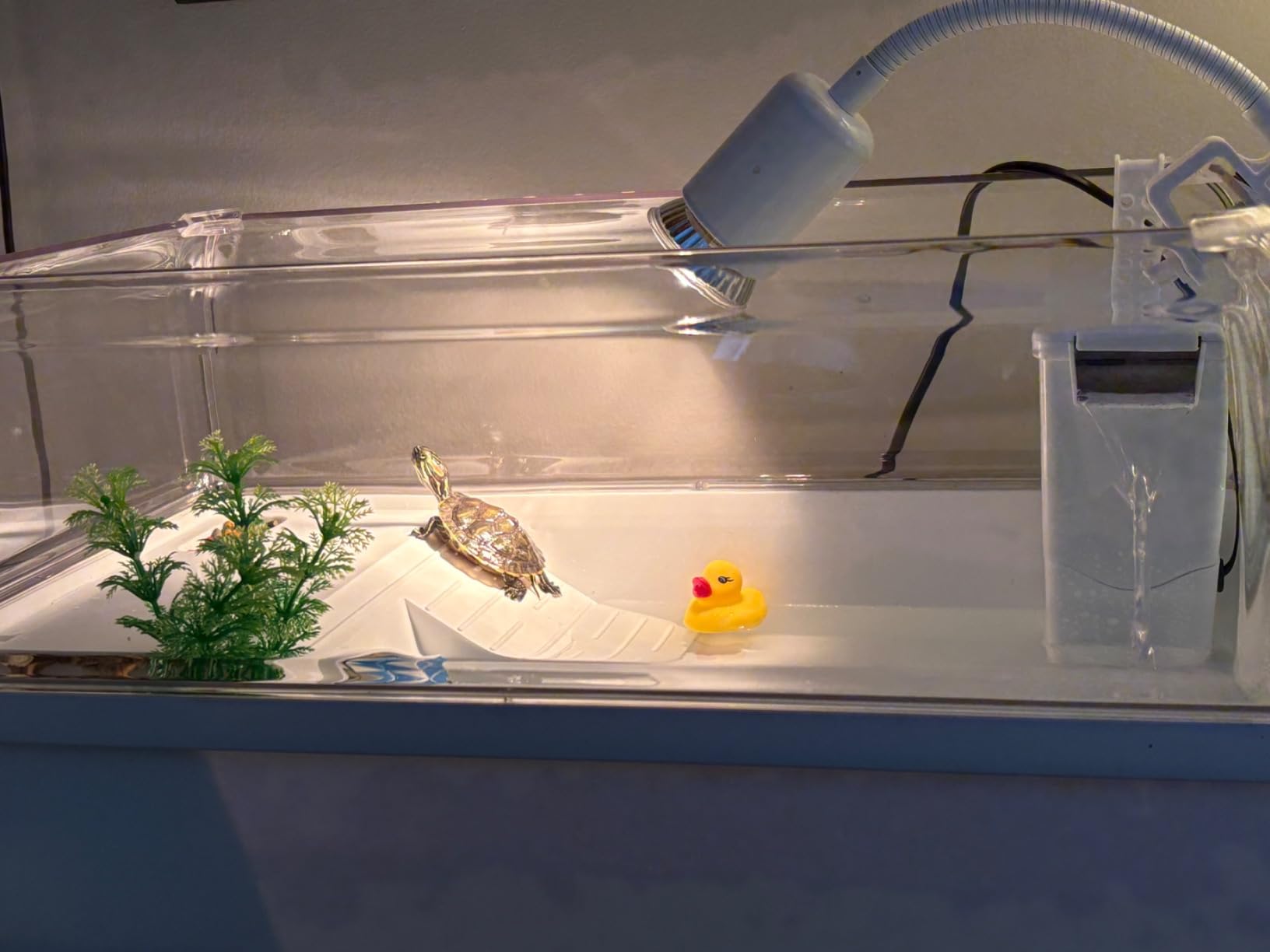 Turtle Tank Acrylic Habitat Kit with Silent Filter and Bottom Drain,UVB Basking Platform Light,Multi-Zone Aquatic Tortoise Enclosure with Hideout,Feeding Area,Plant,Net and Accessories for Baby customer photo 1