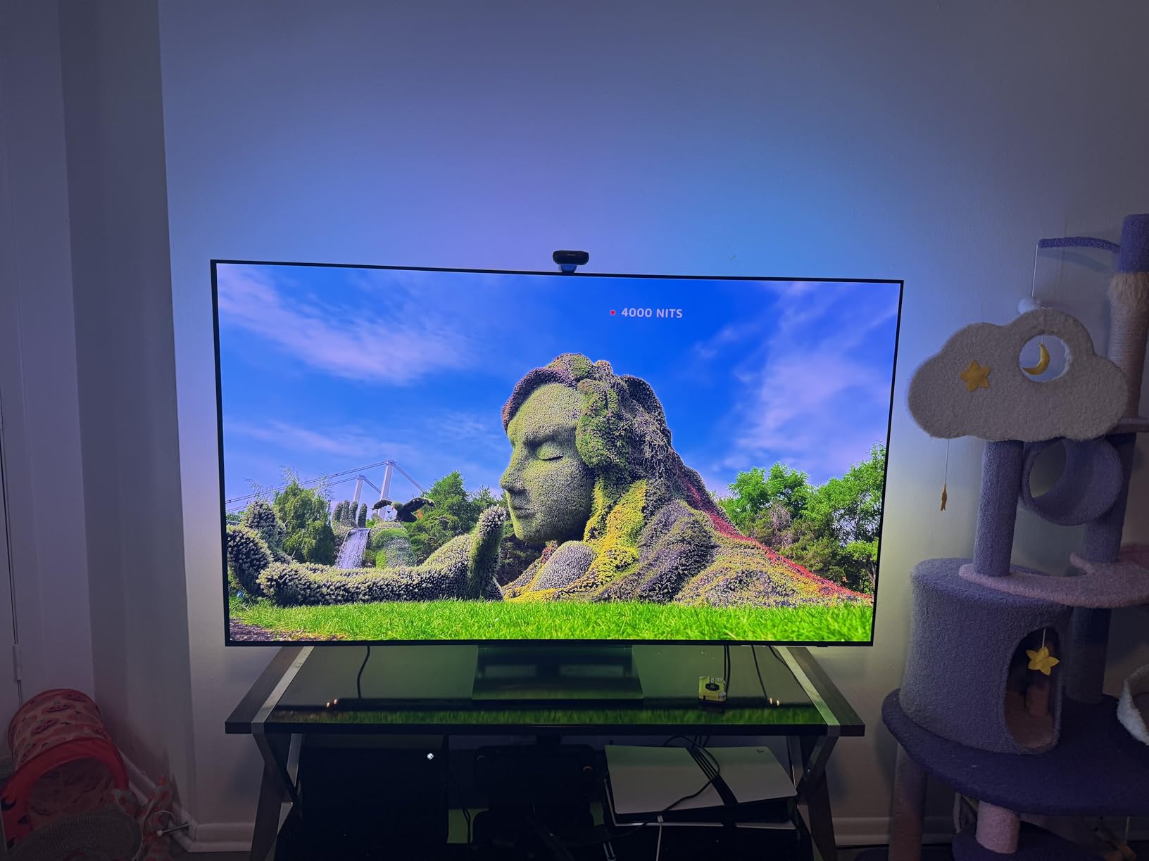 Samsung 83-Inch Class OLED 4K S90D Series HDR+ Smart TV w/Dolby Atmos, Object Tracking Sound Lite, Motion Xcelerator, Real Depth Enhancer, 4K AI Upscaling, Alexa Built-in (QN83S90D, 2024 Model) customer photo 1
