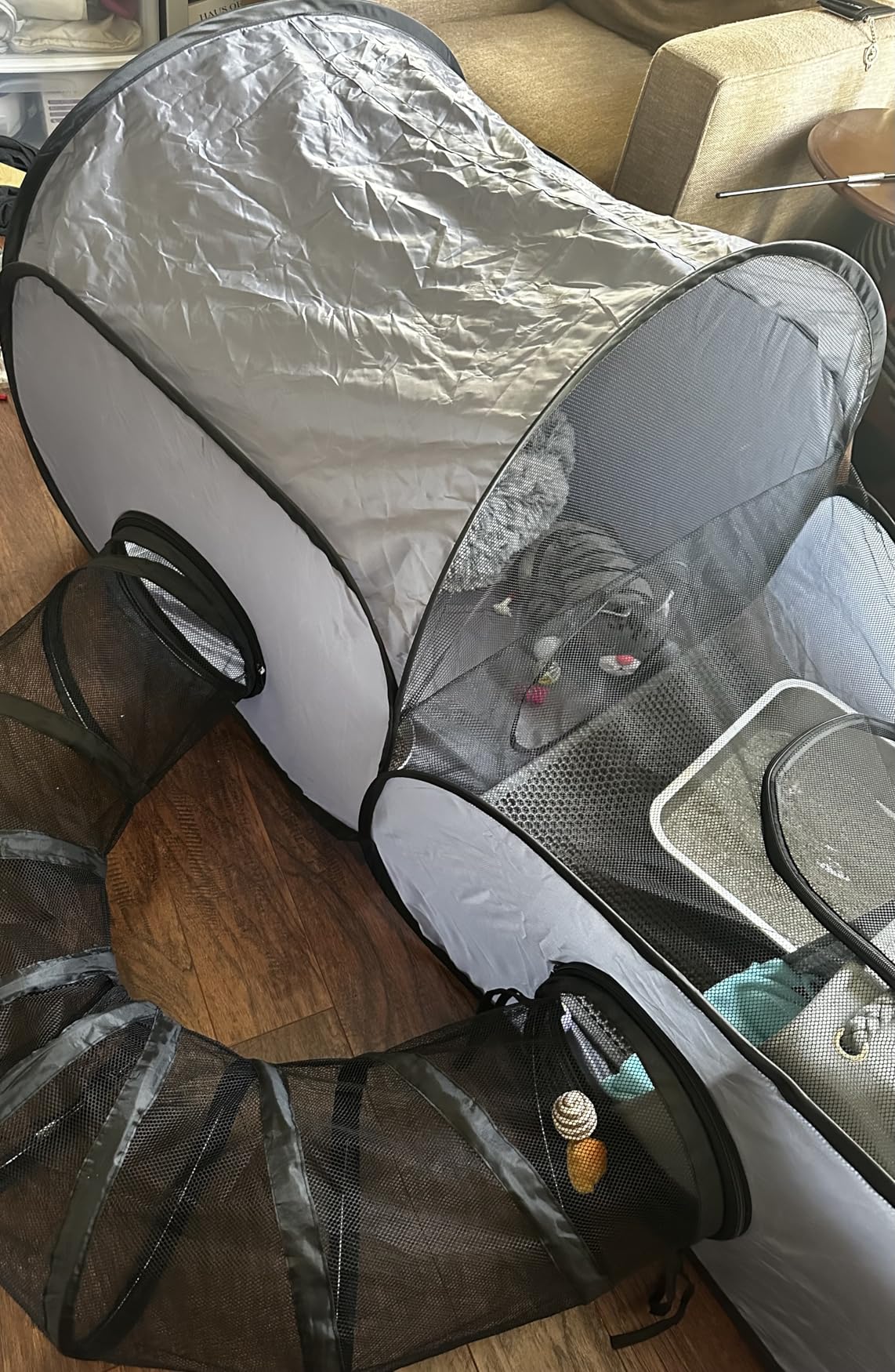 Tailtastic Pet Playpen with Surround Tunnel, Outdoor/Indoor Cat Playpen with Breathable Soft Sides，Tailtastic Cat Enclosure Tent for Small Animals, Portable Tent with Carry Bag (Medium) customer photo 1