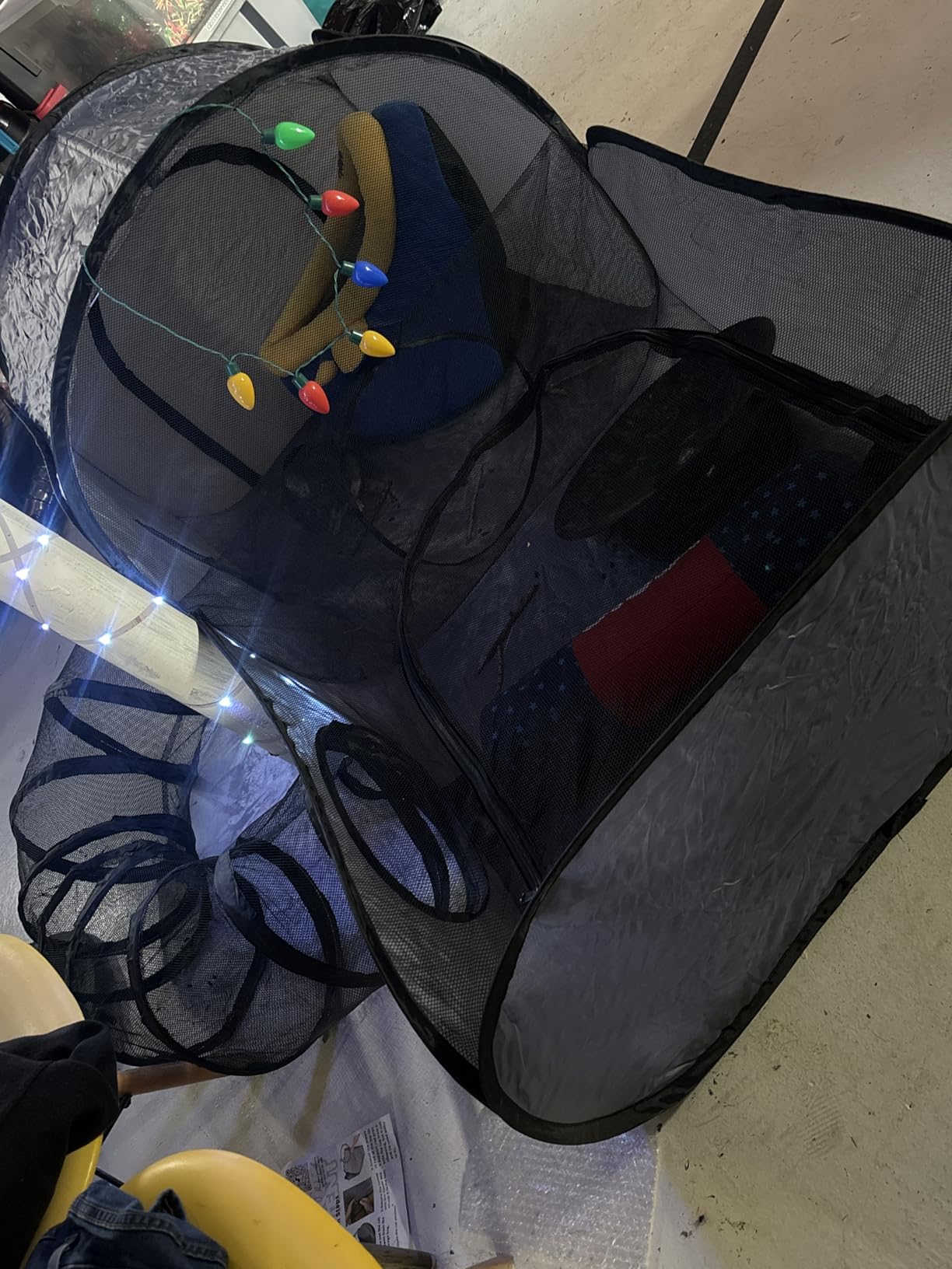 Tailtastic Pet Playpen with Surround Tunnel, Outdoor/Indoor Cat Playpen with Breathable Soft Sides，Tailtastic Cat Enclosure Tent for Small Animals, Portable Tent with Carry Bag (Medium) customer photo 2
