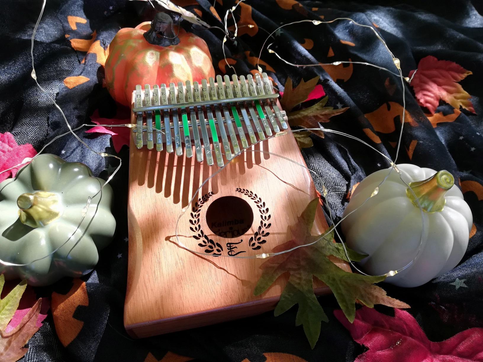 Everjoys Kalimba Thumb Piano 21 Keys, Professional Musical Instrument Finger Piano Marimbas with Portable Soft Cloth Bag customer photo 1
