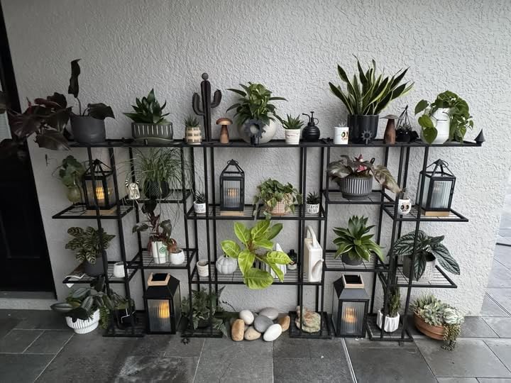 Twhep Metal Plant Stand, 5 Tiers Multifunctional Plant Stands for Indoor Plants, Decorative Black Steel Plant Shelf for Indoor Patio Garden Balcony and Yard customer photo 1