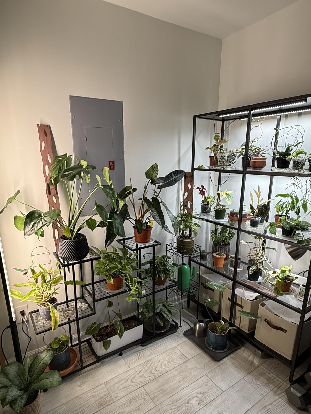 Twhep Metal Plant Stand, 5 Tiers Multifunctional Plant Stands for Indoor Plants, Decorative Black Steel Plant Shelf for Indoor Patio Garden Balcony and Yard customer photo 2