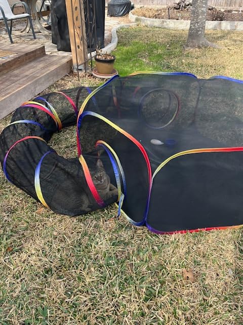 Outdoor Cat Enclosure - Portable Catio Playground for Cat Run, Kitty and Small Animals - Tent & Tunnels for Outside and Indoor Play customer photo 1