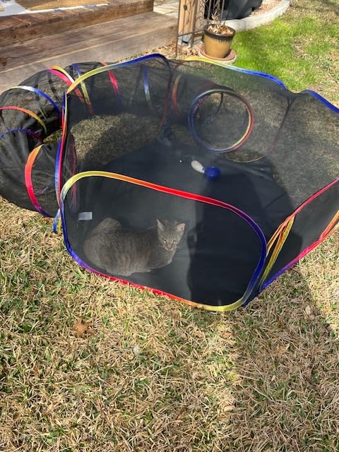 Outdoor Cat Enclosure - Portable Catio Playground for Cat Run, Kitty and Small Animals - Tent & Tunnels for Outside and Indoor Play customer photo 2