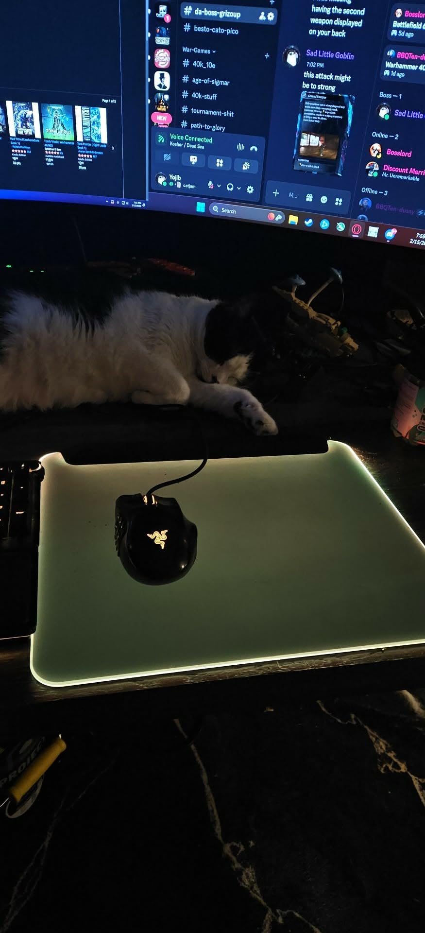 Razer Firefly V2 Pro Fully Illuminated RGB Gaming Mouse Mat: Backlit Design - 15 Zone Chroma Lighting - USB 2.0 Port - Detachable USB Type C Cable - Micro Textured Surface - Anti Slip Base customer photo 1