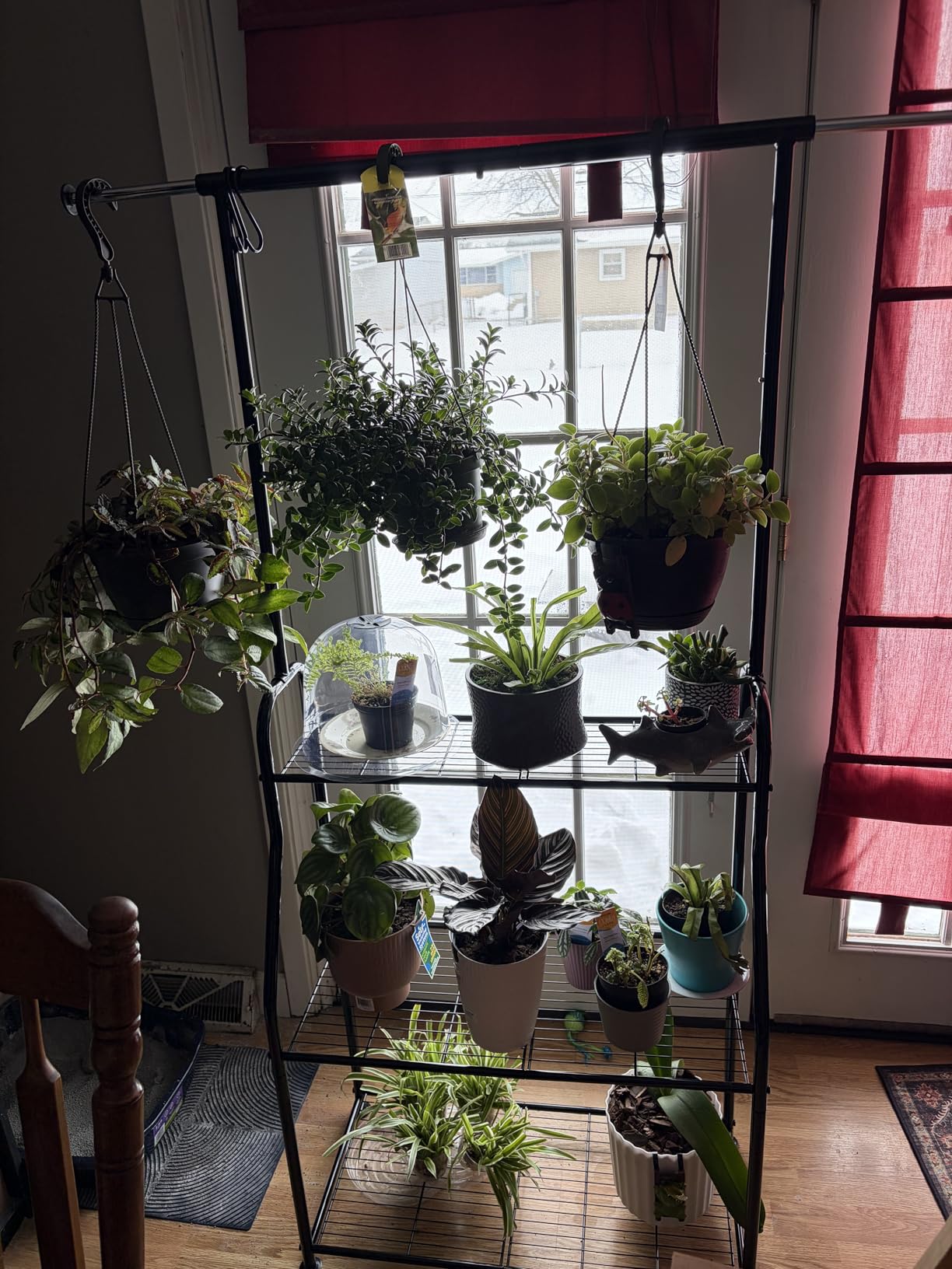 Simple Trending Plant Stand Indoor Outdoor, Metal 3 Tier Tall Hanging Plant Shelf for Multiple Flower Planter Large Heavy Duty Ladder Plant Holder for Garden, Black customer photo 2