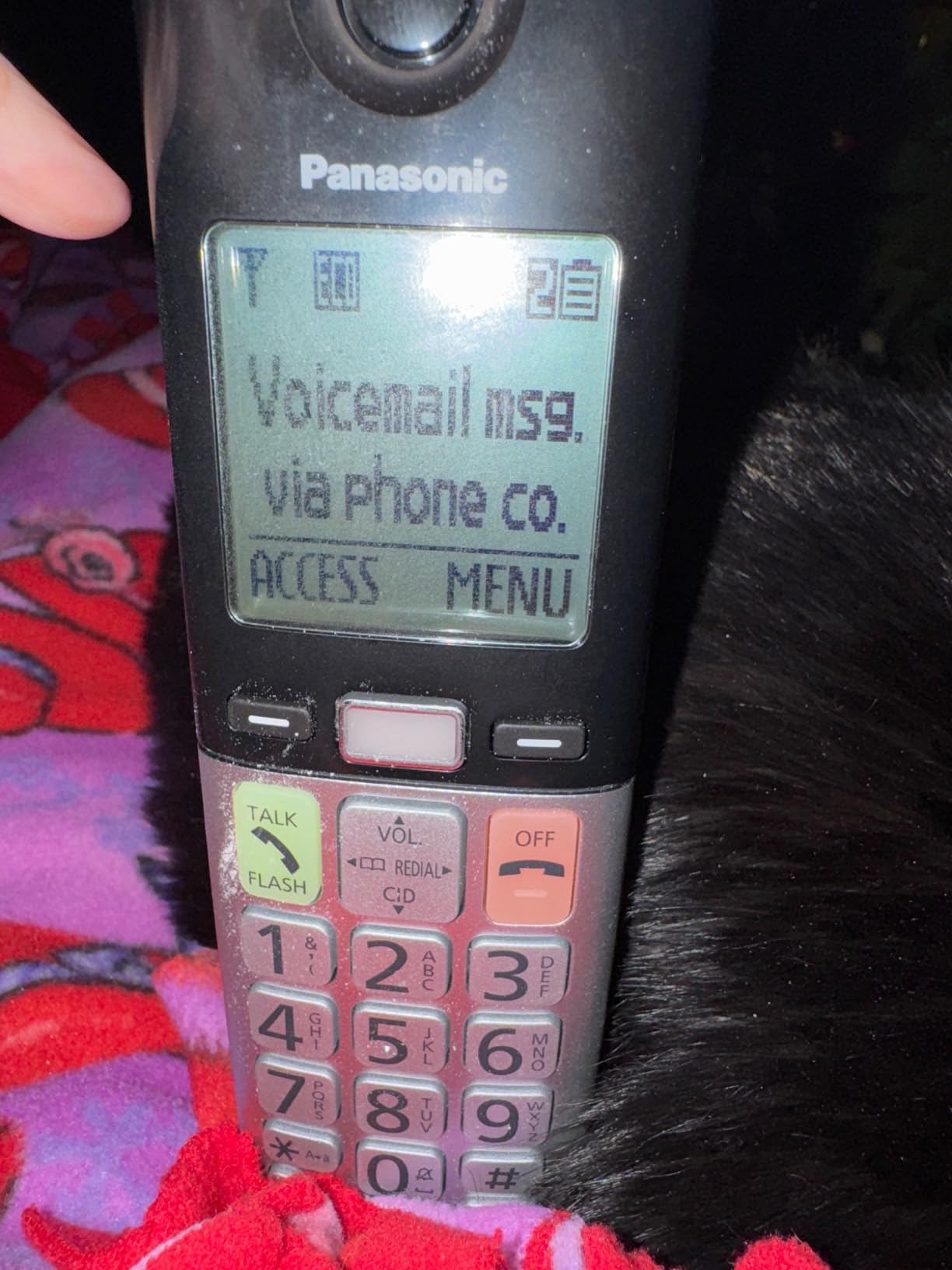 Panasonic Cordless Phone with Large Display & Big Buttons, 2 Cordless Handsets, Volume Boost, Talking Caller ID - KX-TGU432B customer photo 2