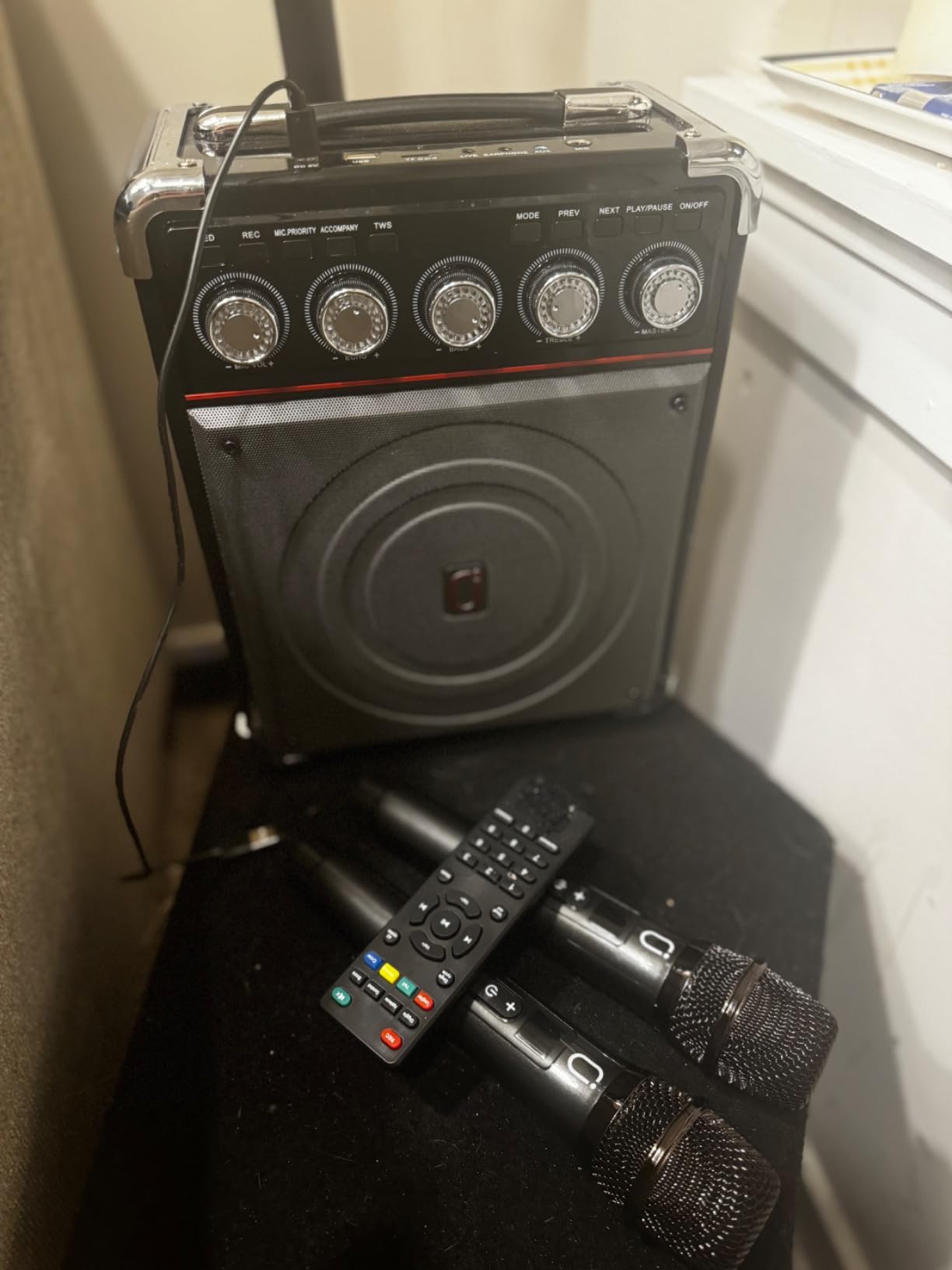 Karaoke Machine with 2 Microphones: HWWR Portable Karaoke Machine for Adults Kids, Bluetooth 5.3 Party Speaker with Echo Adjustment customer photo 2
