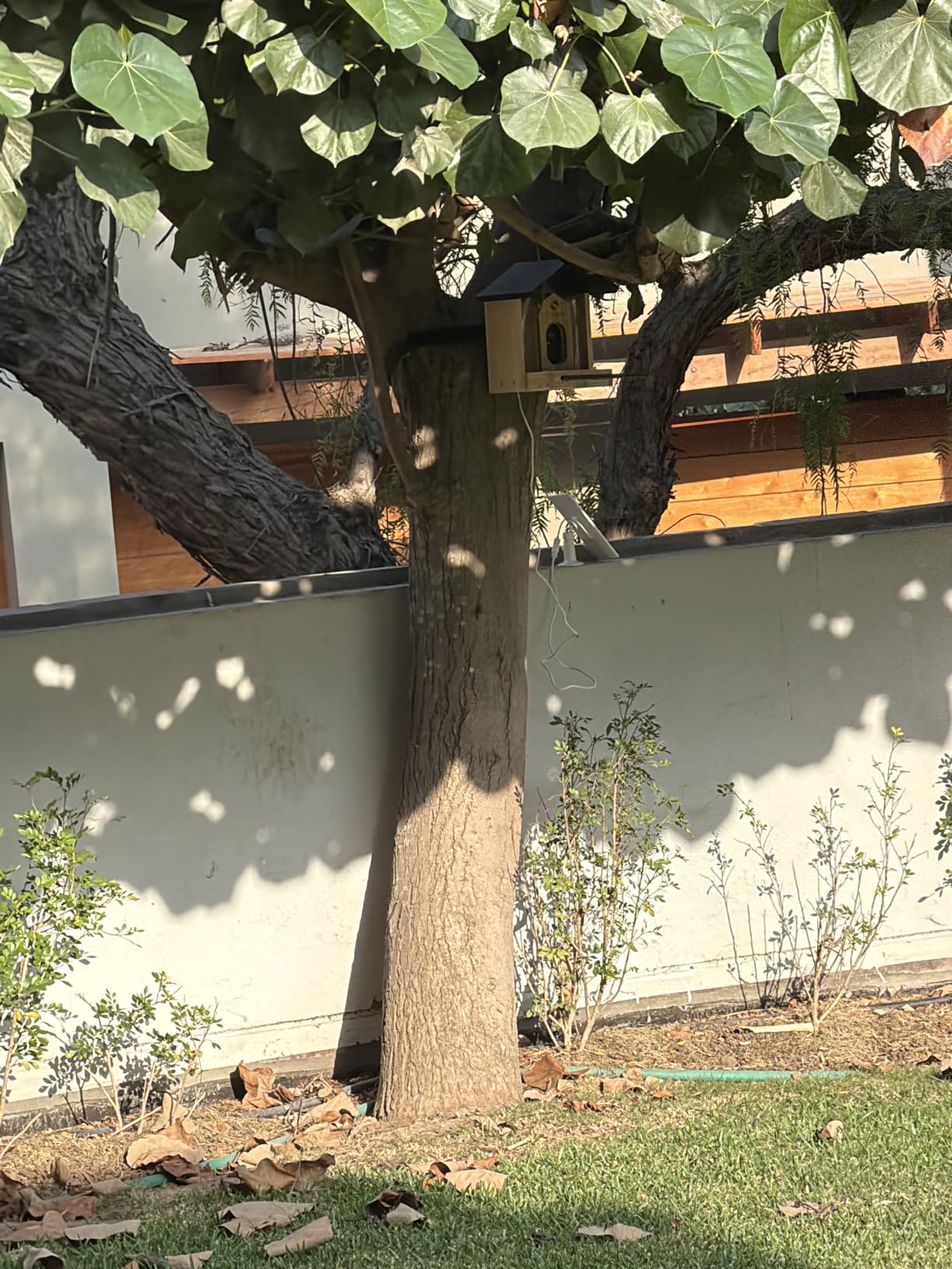 TT Nature Bird Feeder with Camera, Upgraded 1.5L Smart Birdhouse Al Identify for 10000 Plus Species, Auto Capture & Real-time Notifications, Ideal Gift for Bird Lovers (Iron Roof) customer photo 2