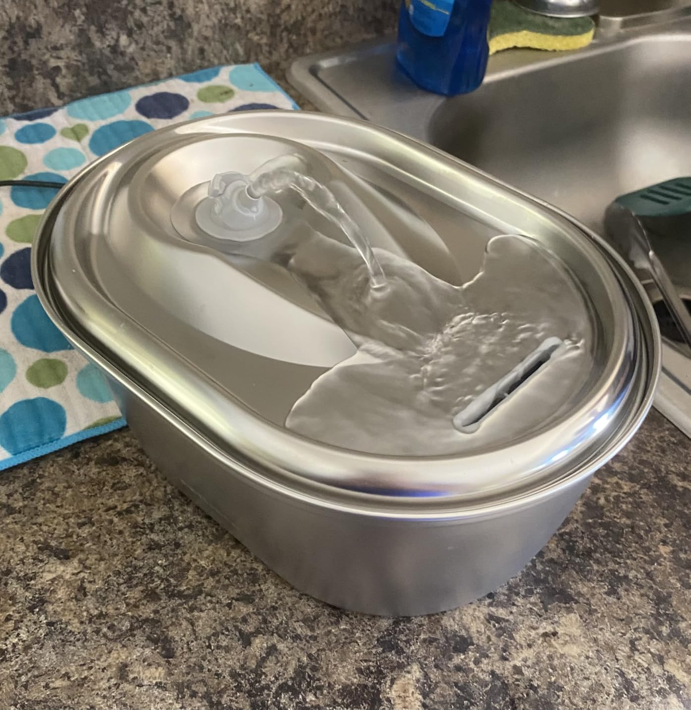 PETLIBRO Stainless Steel Cat Water Fountain, 101oz/3L Pet Water Fountain for Cats Inside, Food-Grade Dog Water Fountain, Automatic Cat Water Dispenser customer photo 1