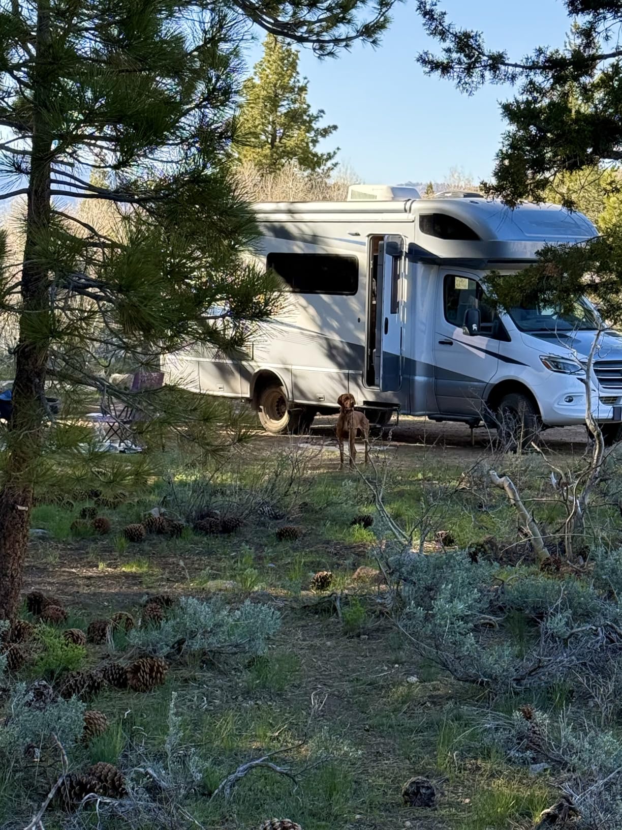 BLUETTI AC200PL Portable Power Station, 2304Wh Solar Generator, Expandable to 8448Wh w/ 4 2400W AC Outlets (3600W Power Lifting), 30A TT30 Output, LiFePO4 Battery Backup for RV, Camping, Home Use customer photo 2