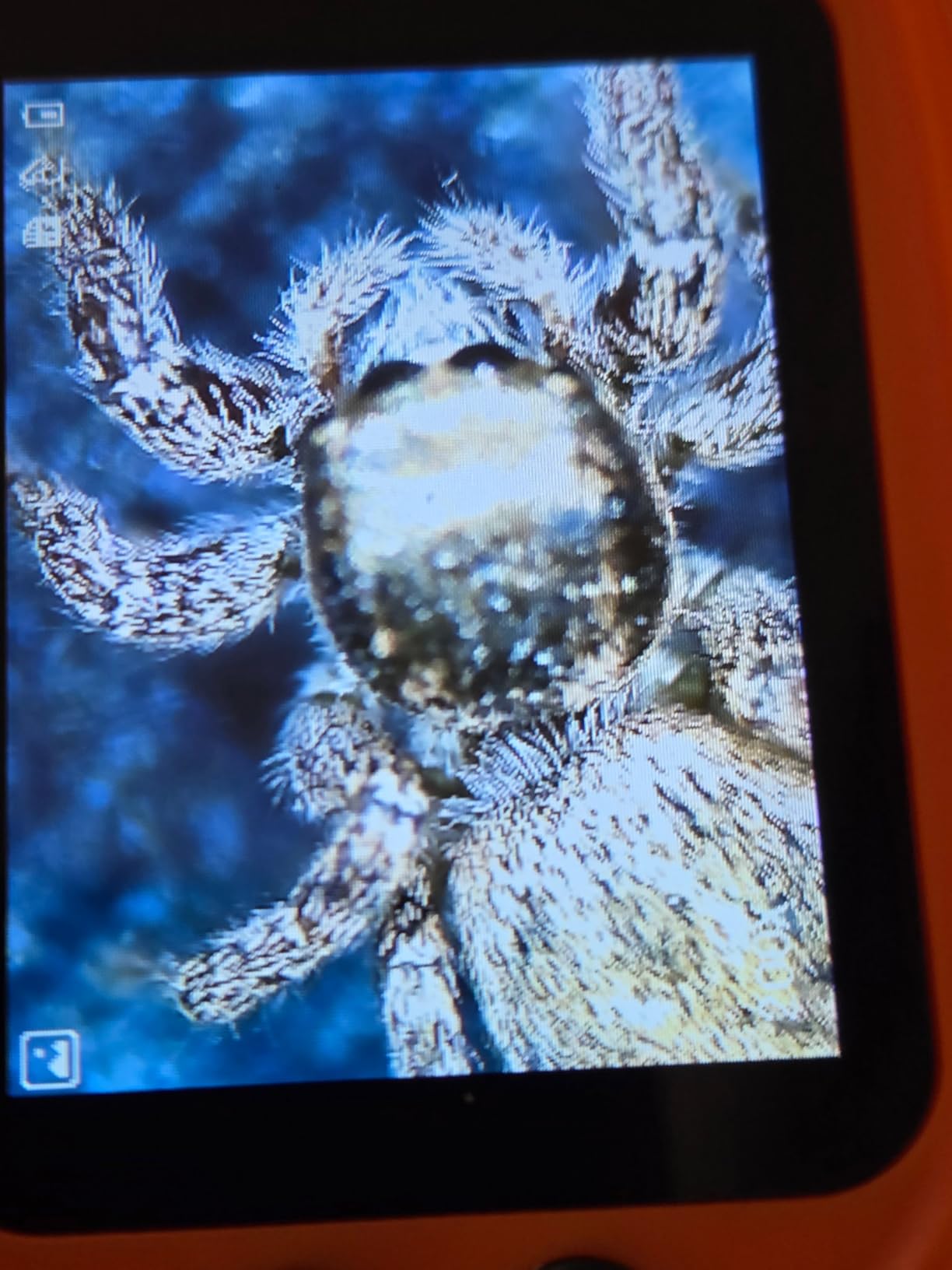 1000X Handheld Microscope for Kids 4K 2.0