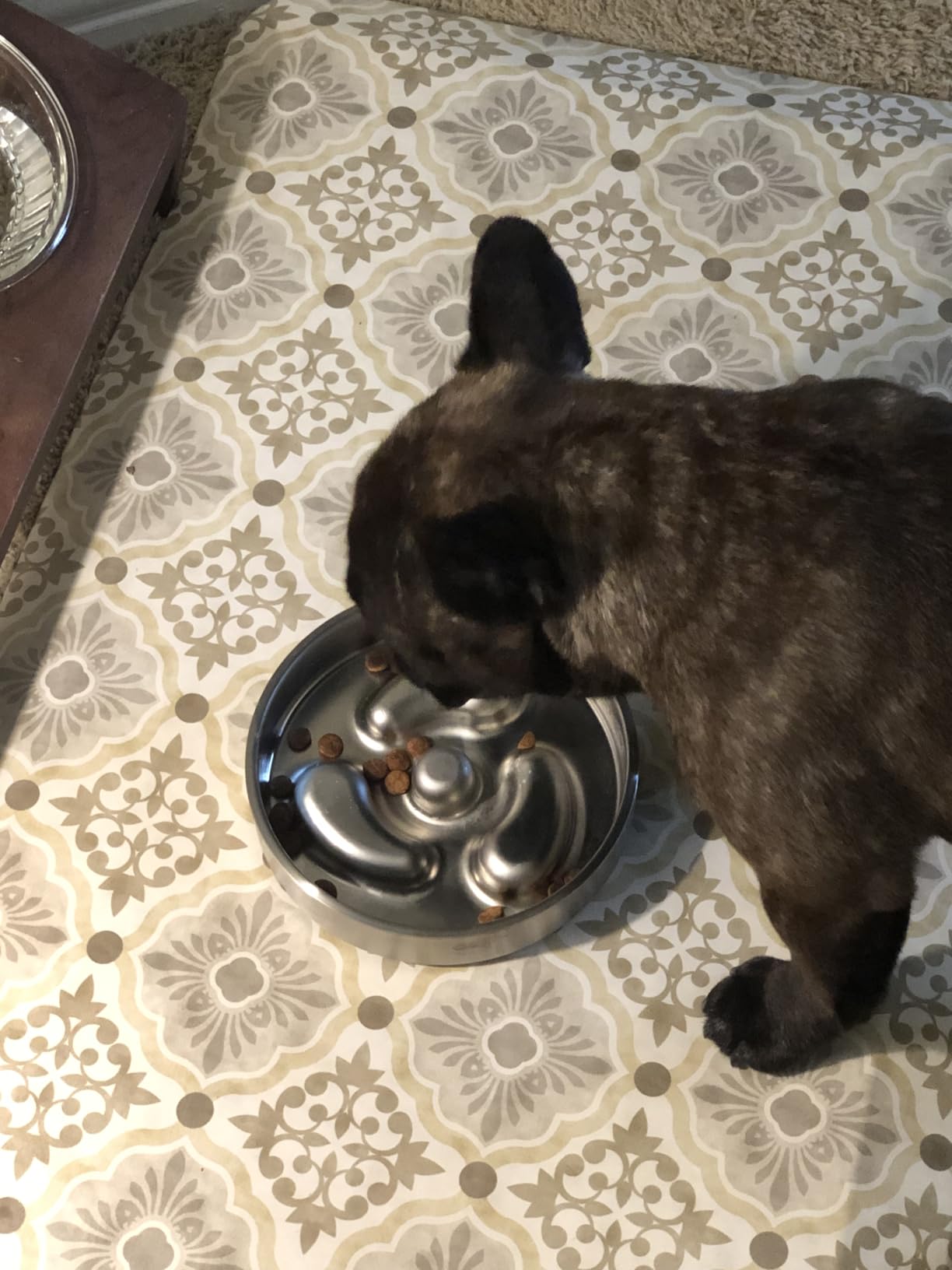 Slow Feeder Dog Bowl-2Cups for Medium Breeds, Double Wall Food-Grade Stainless Steel, Heavy Duty with Non-Slip Rubber Base, Puzzle Maze Bowl to Slow Down Eating customer photo 1