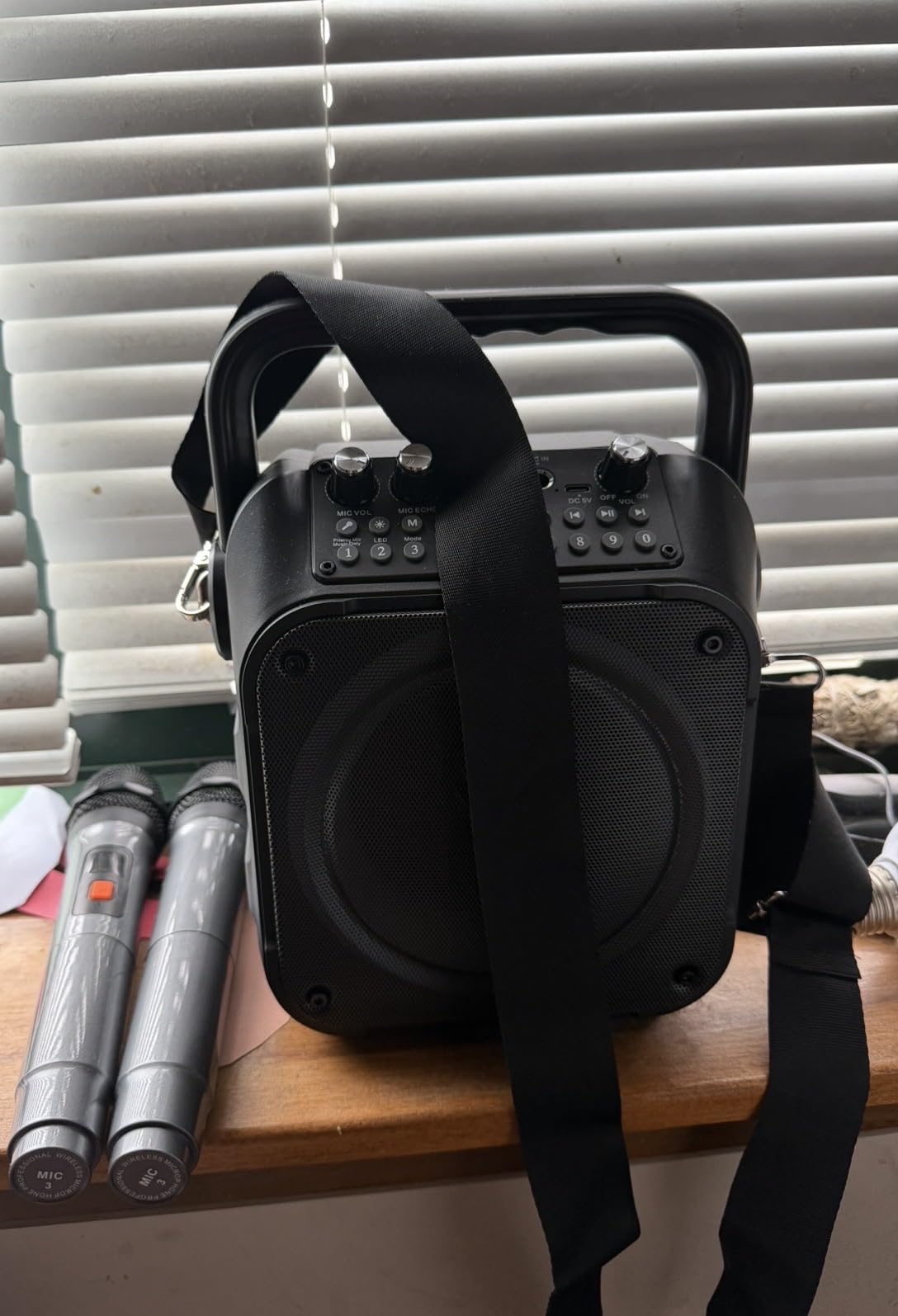 Karaoke Machine, Portable Bluetooth Speaker with 2 Wireless Microphones for Adults & Kids with Lights, Karaoke Microphone with PA System Supports USB/TF/REC/FM/AUX customer photo 2