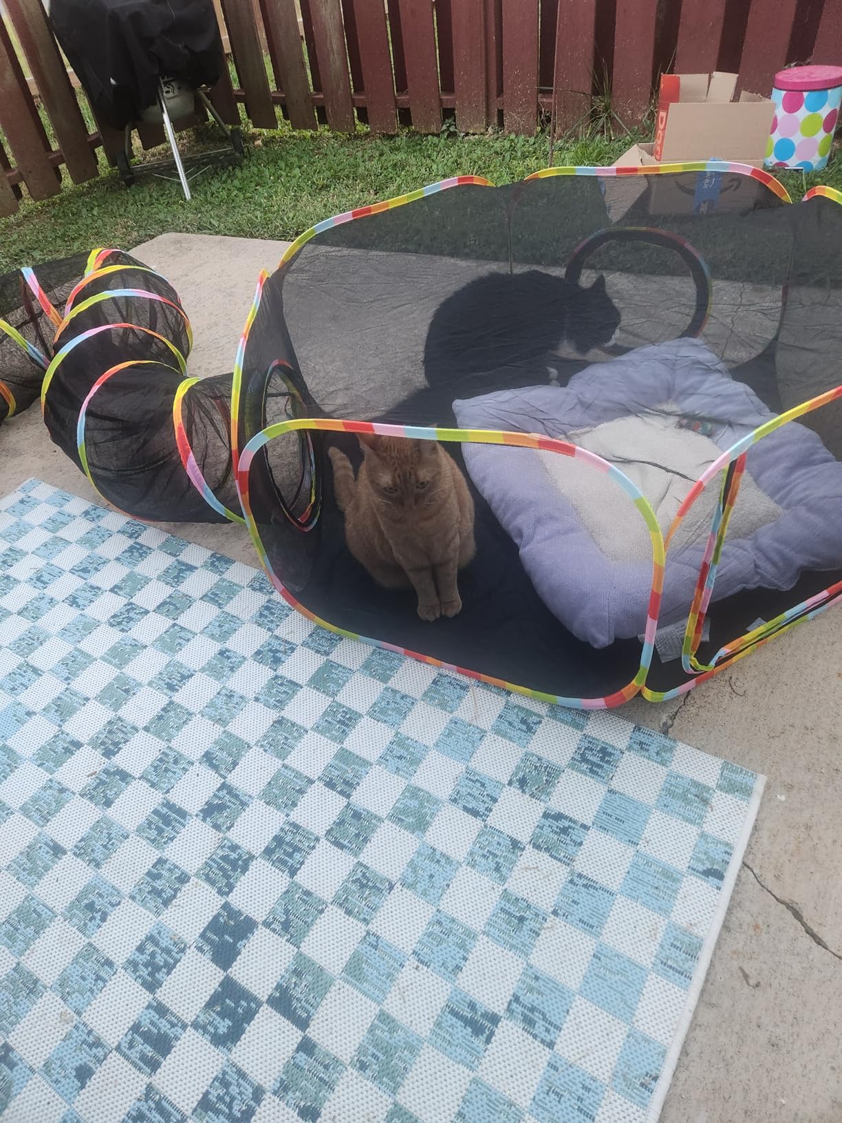 Outdoor Cat Enclosures, Cat Playground Portable Catio Mesh Tent, Outside Circle Playpen Tunnel for Kitty, Rabbit, Puppy and Small Animals customer photo 2