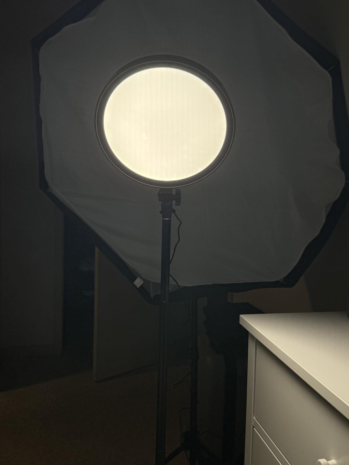 NEEWER 18 RGB LED Round Panel Video Light with APP Control, 65W 6000Lux/0.5m 2500K-8500K RGBCW Photography Studio Lighting /18 Scenes/V Battery Powered for Outdoor Filming Recording Streaming, GR18C customer photo 1