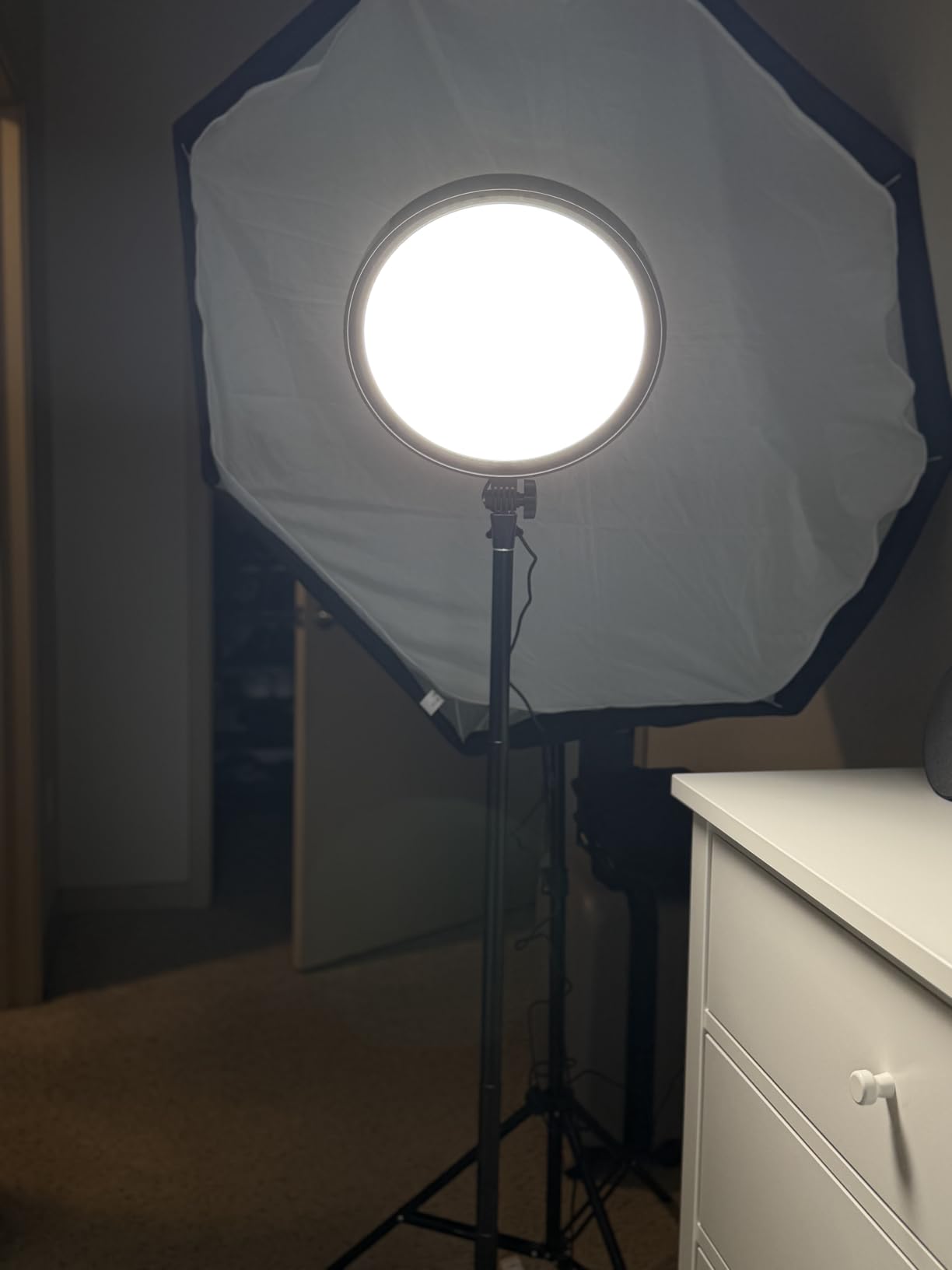 NEEWER 18 RGB LED Round Panel Video Light with APP Control, 65W 6000Lux/0.5m 2500K-8500K RGBCW Photography Studio Lighting /18 Scenes/V Battery Powered for Outdoor Filming Recording Streaming, GR18C customer photo 2